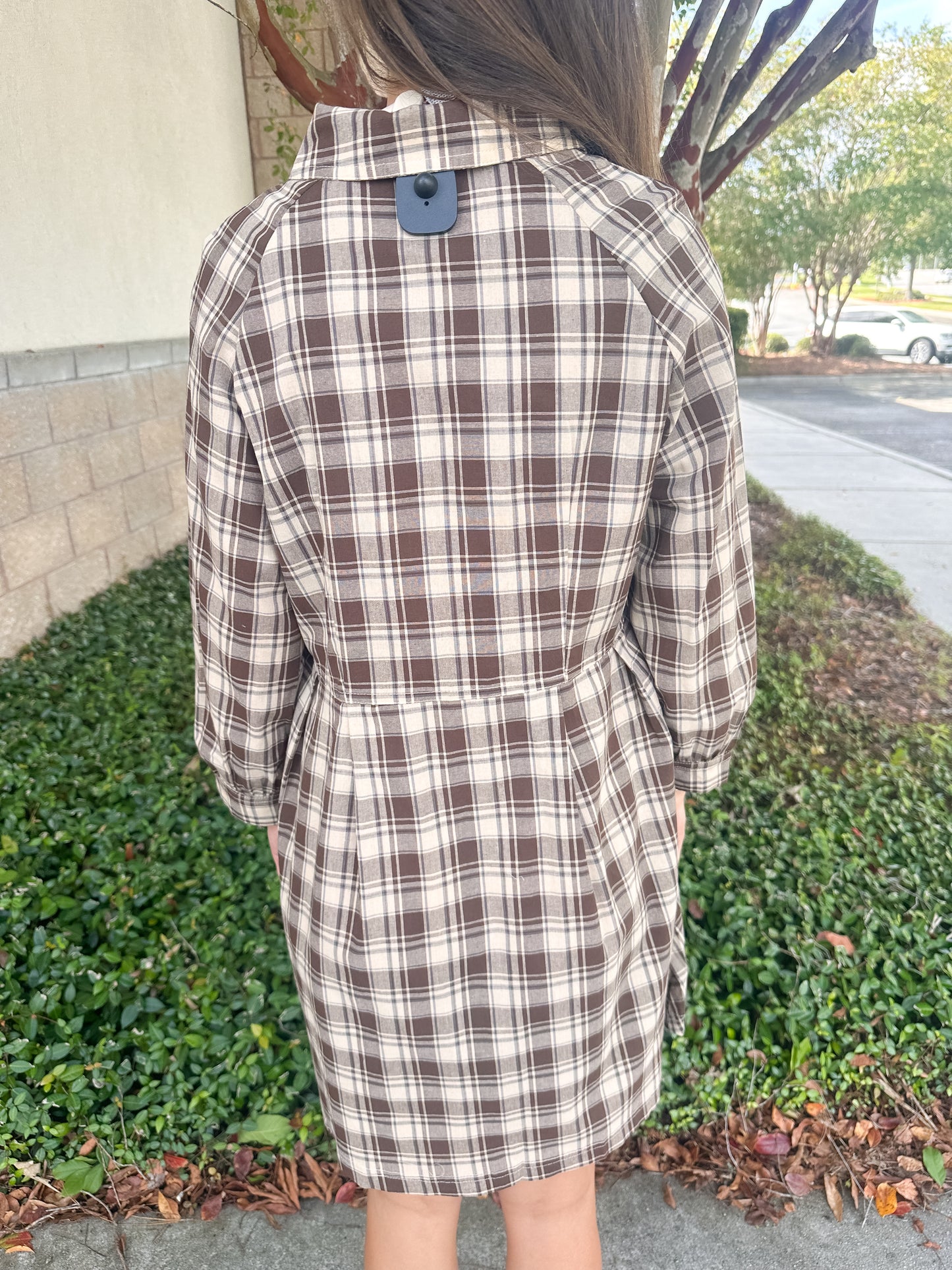Fallon Mini Dress