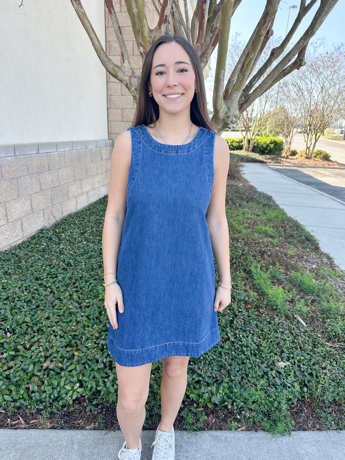 Livia Denim Dress