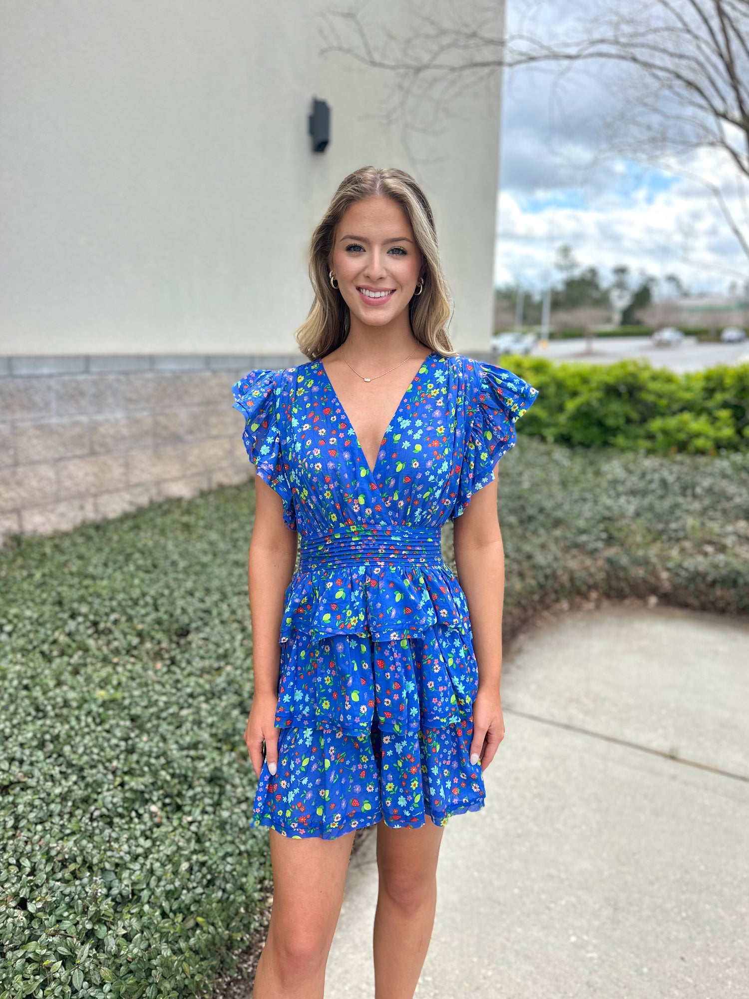Ansley Summer Fruit Mini Dress L Ansley Summer Fruit Mini Dress L