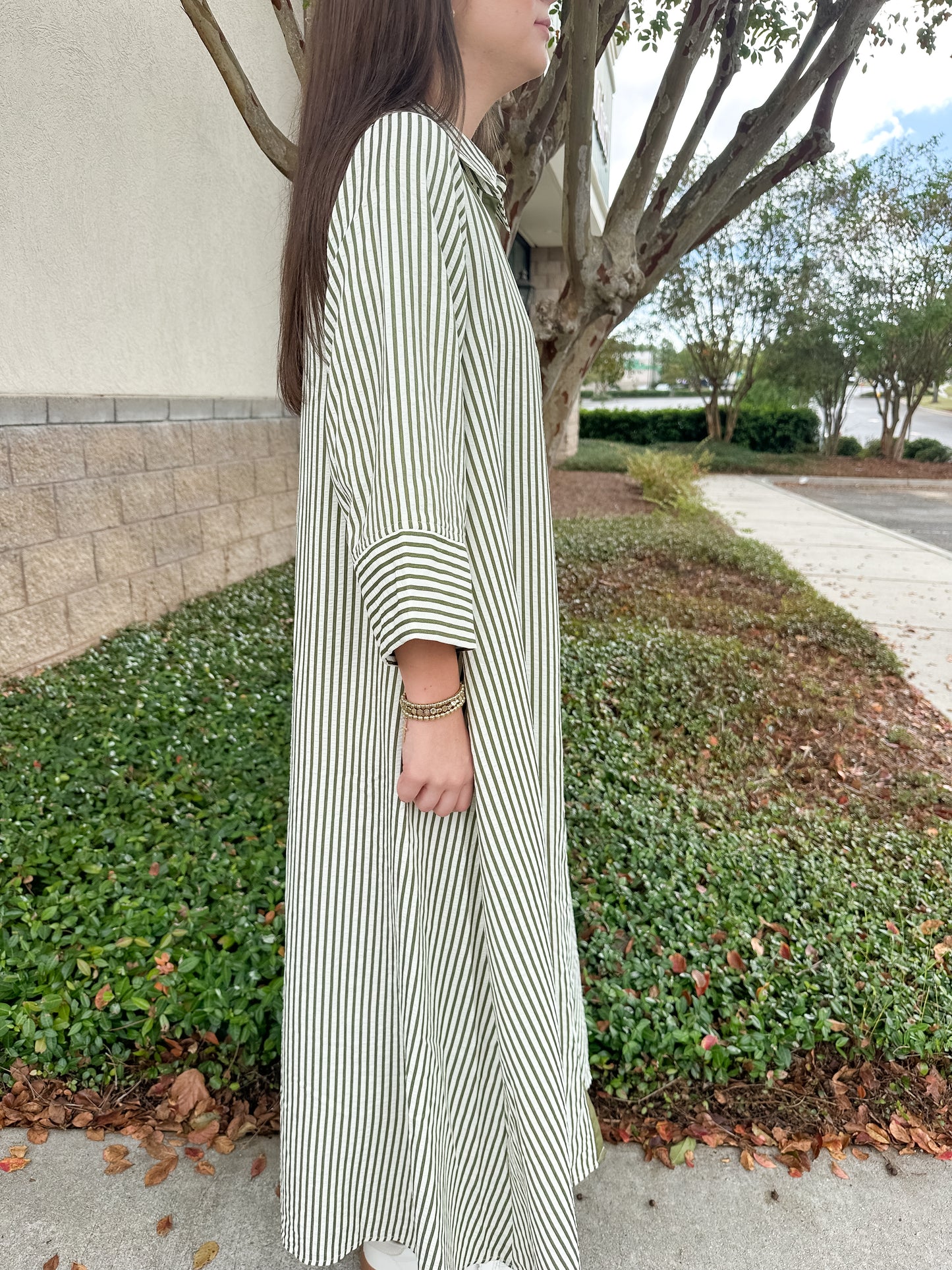 Savannah Stripes Maxi Dress