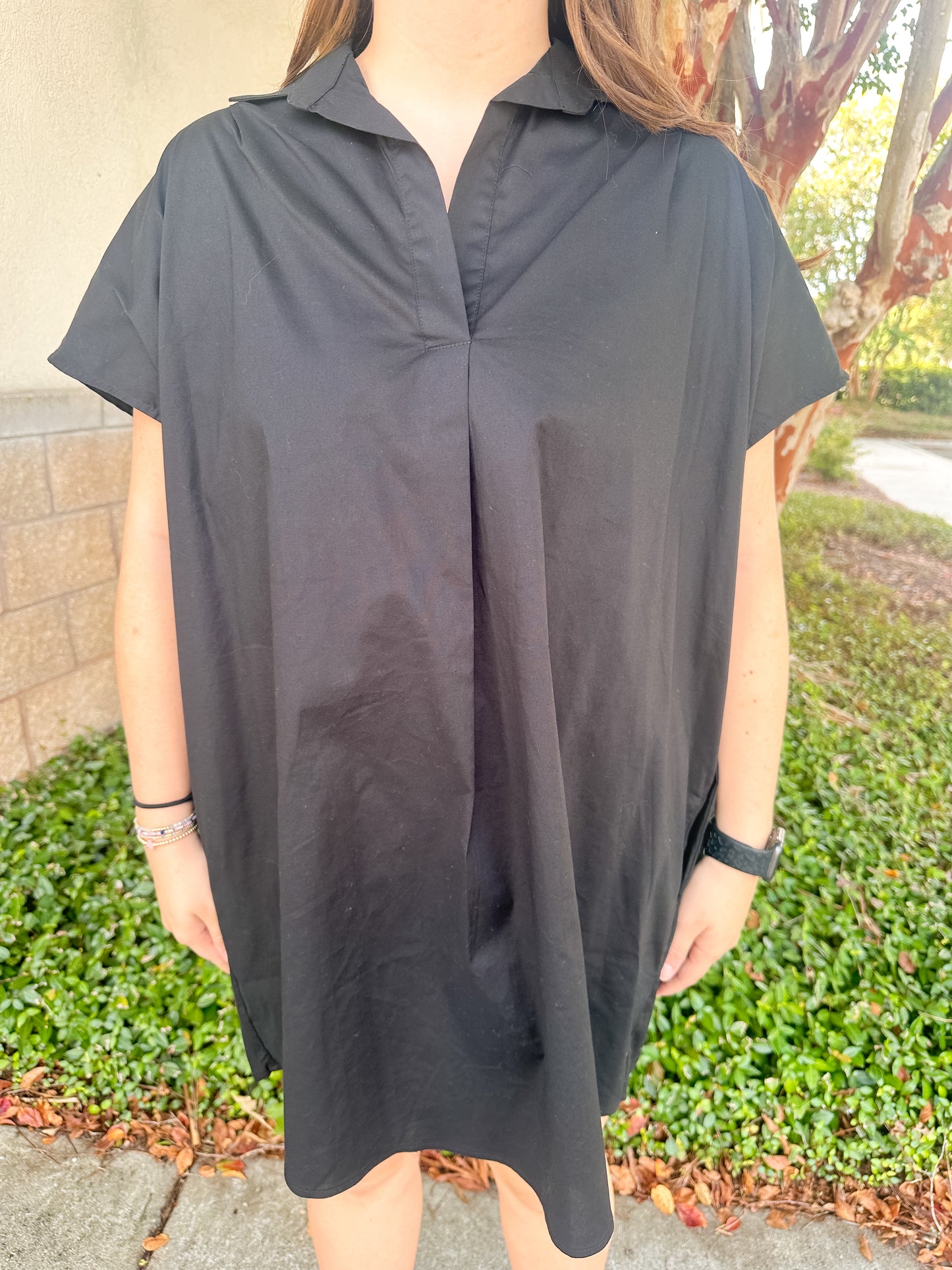Helen Signature Collar Dress
