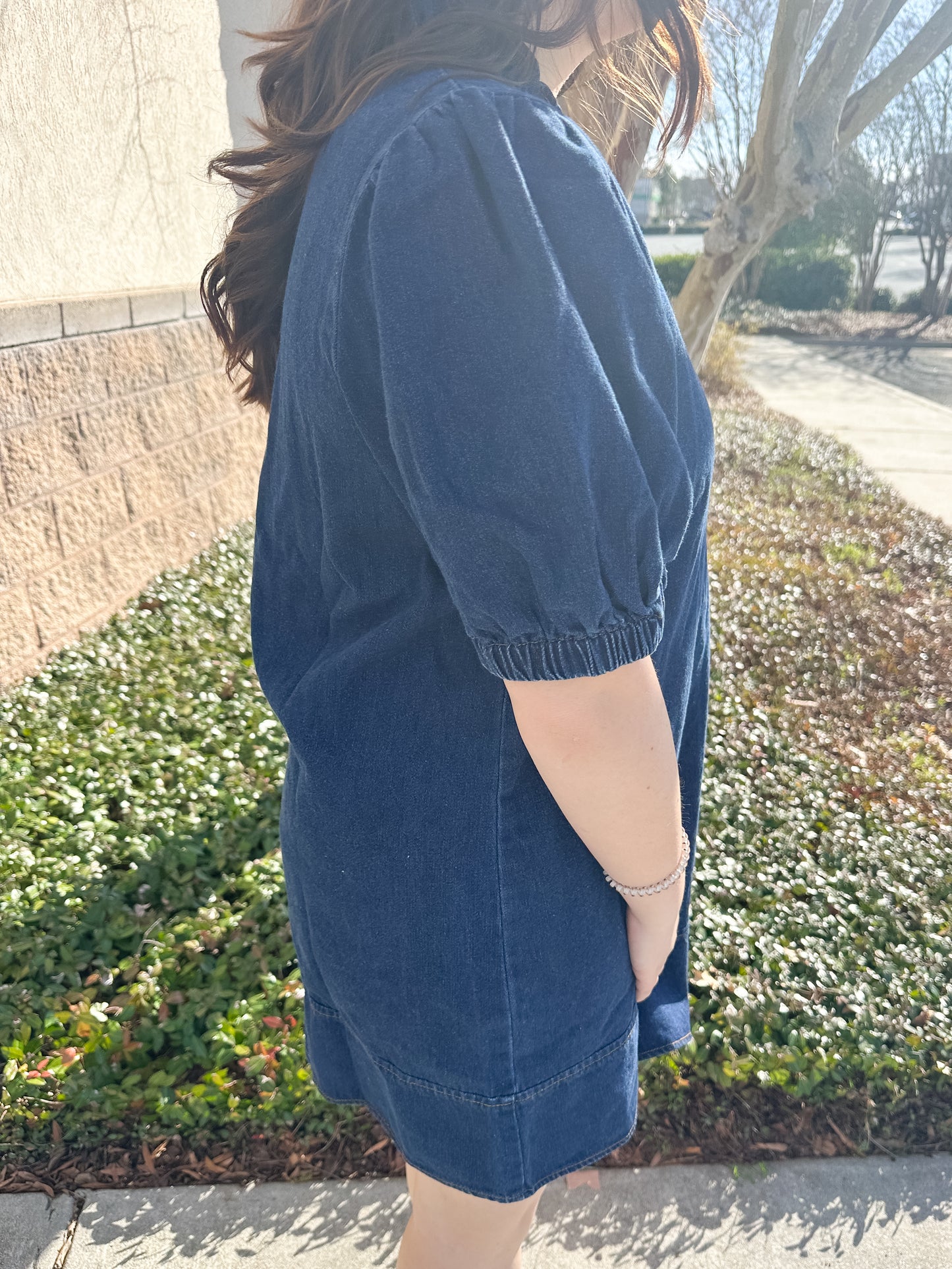 Marcus Denim Dress