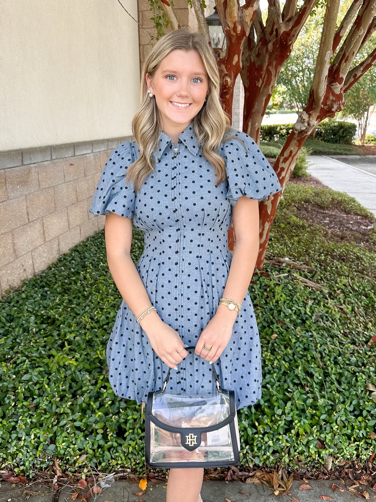 Presley Mini Dress