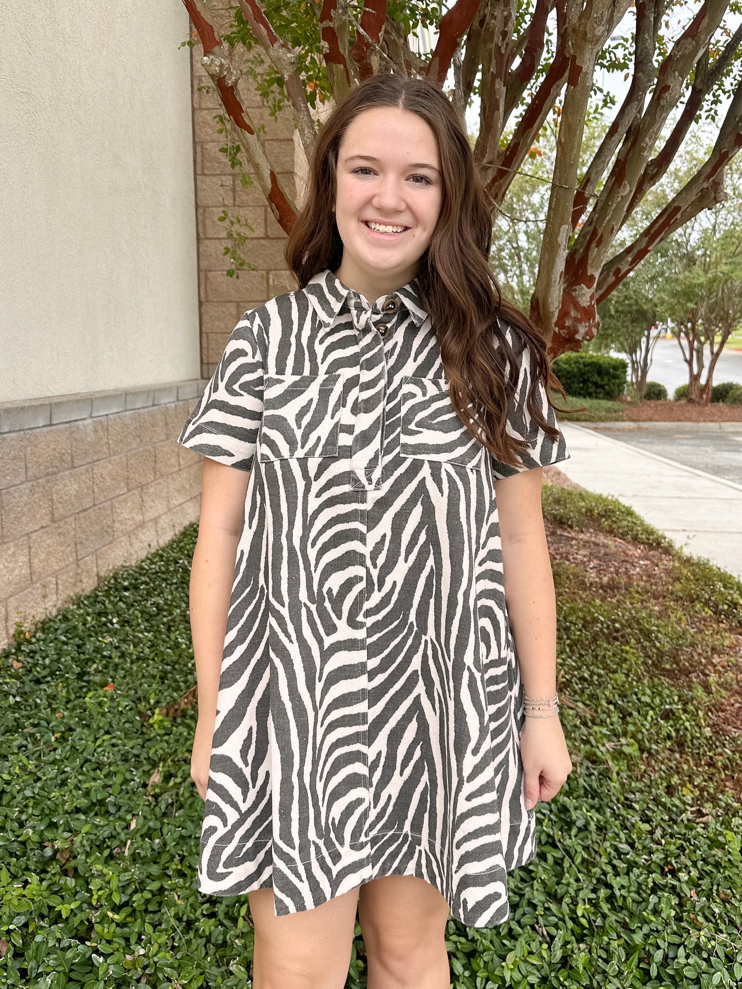 Zoe Mini Dress