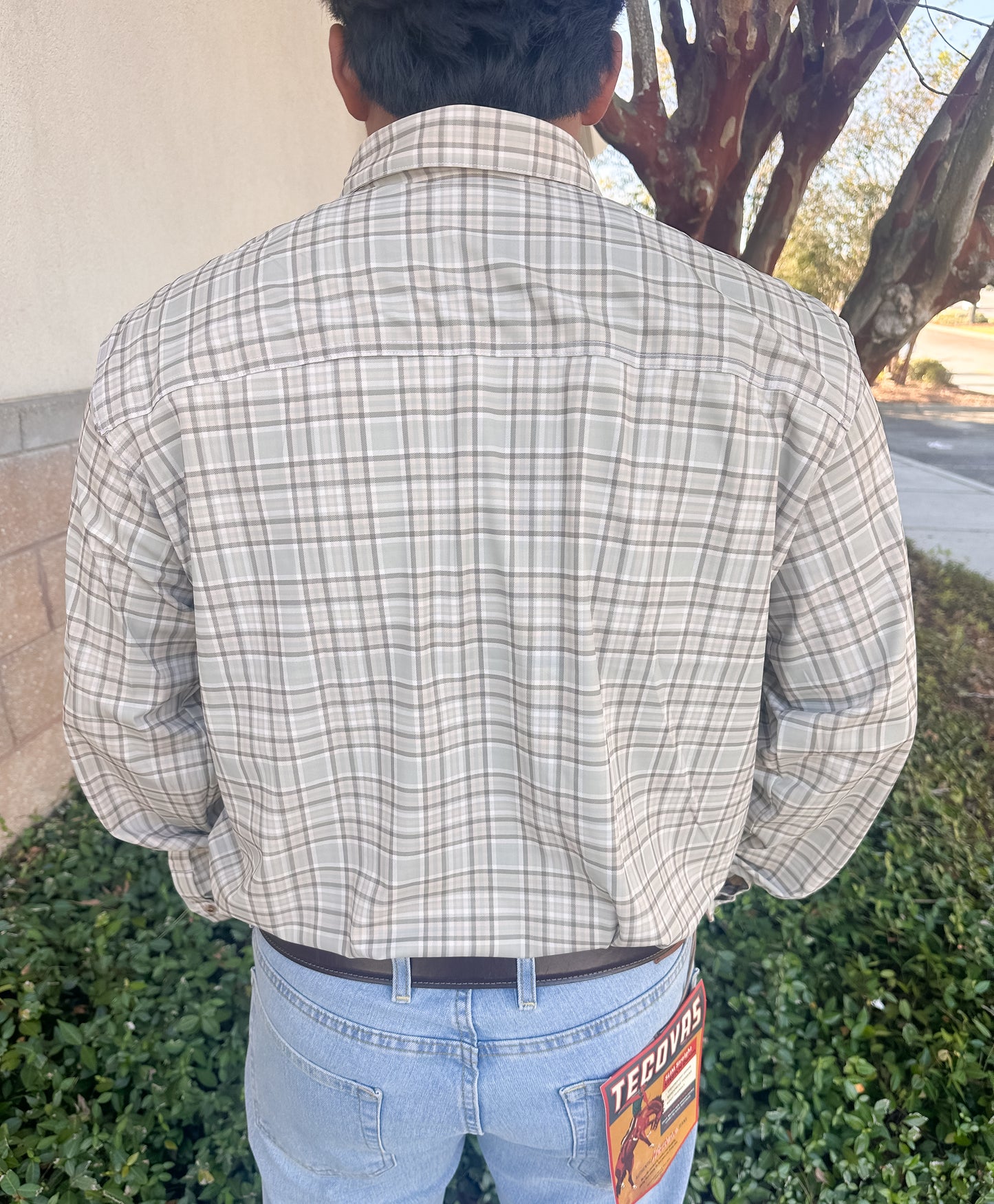 S. Casanova Vented Sportsman Button Down - Woodland Mist