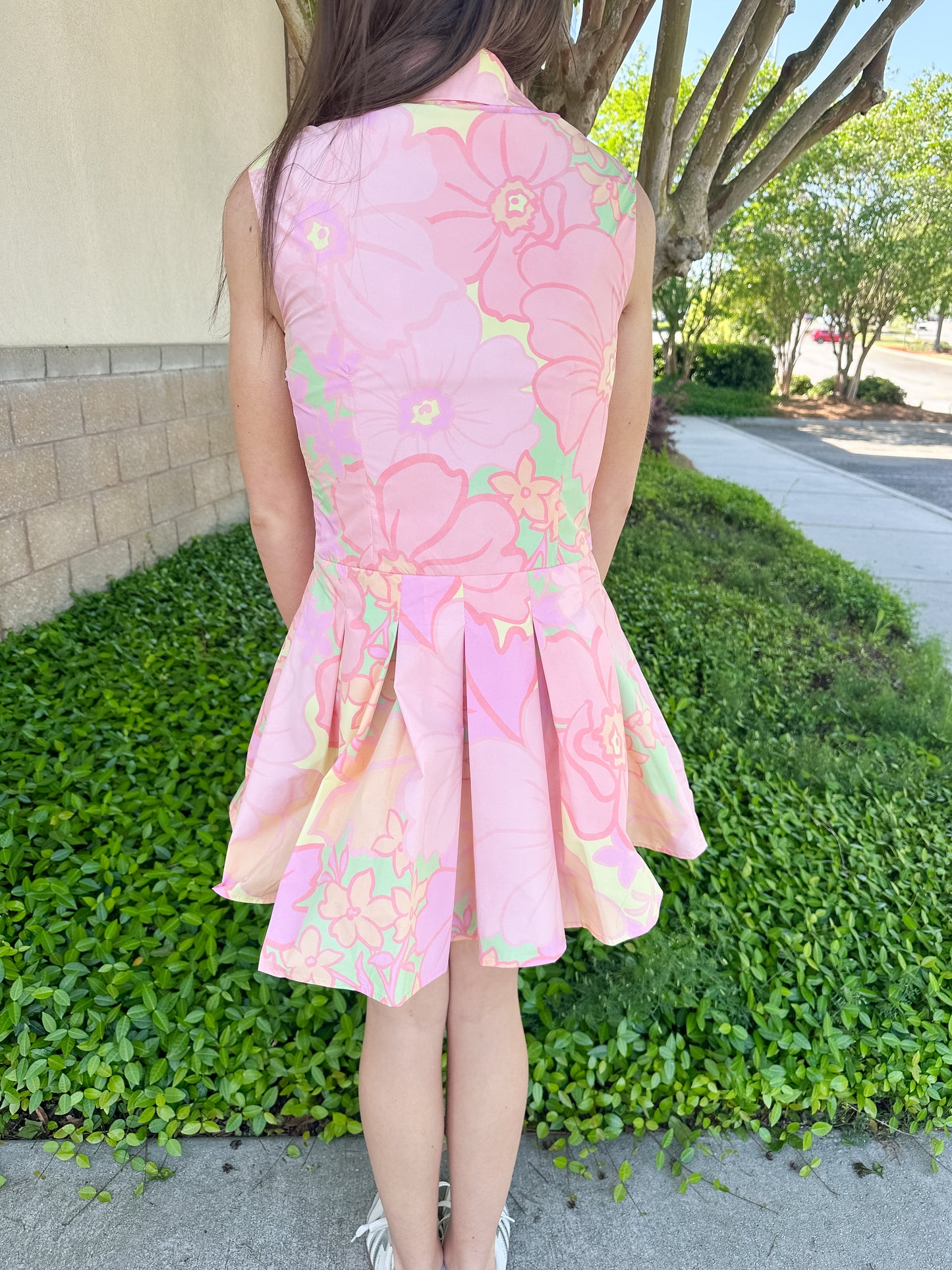 Andrea Pastel Collar Dress