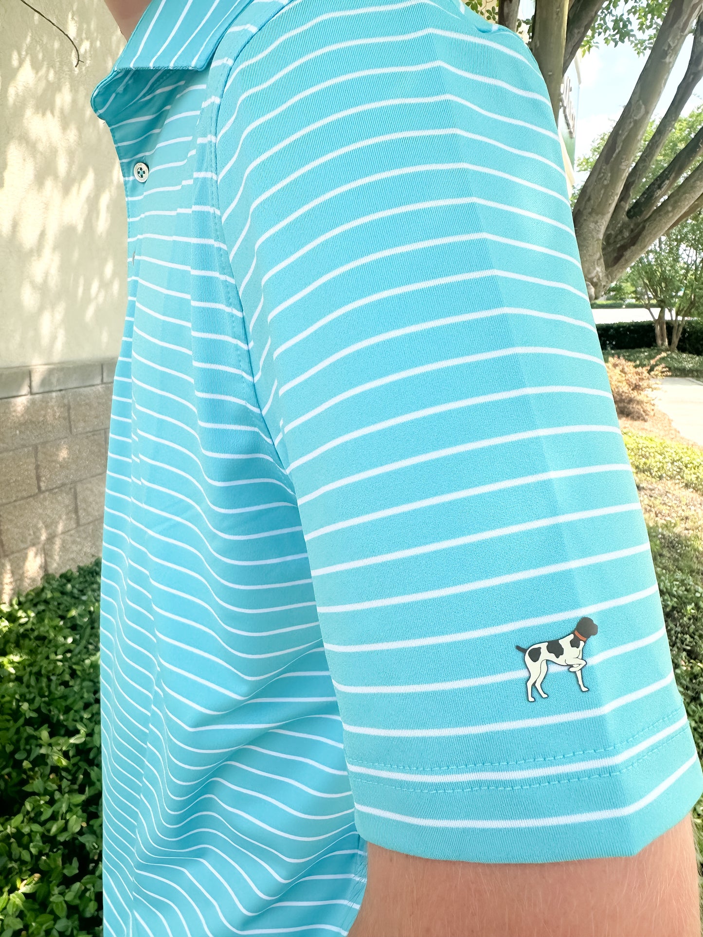 SPC Men’s Horizon Stripe Performance Polo - Coastal Water/White