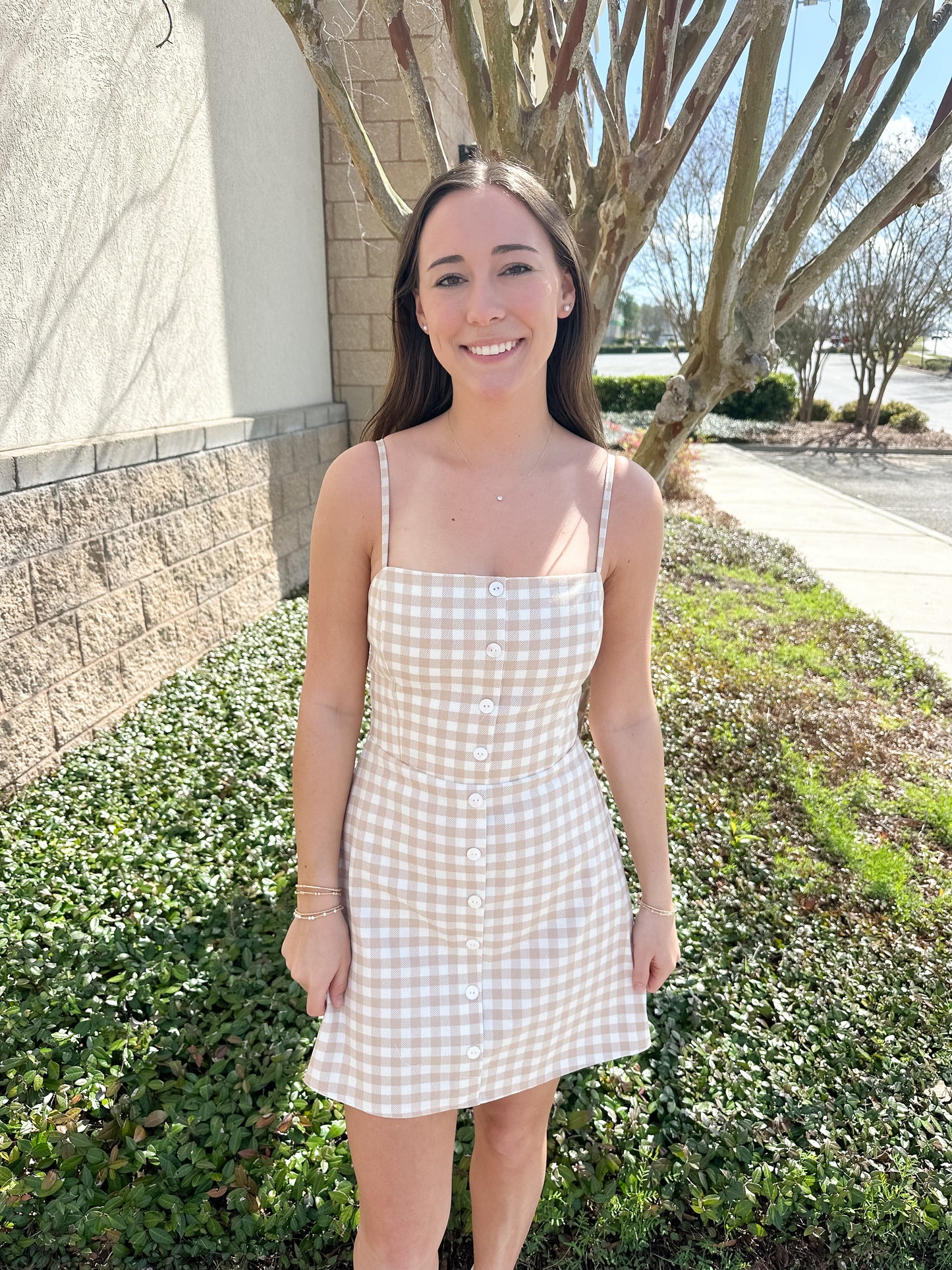 Brisa Gingham Mini