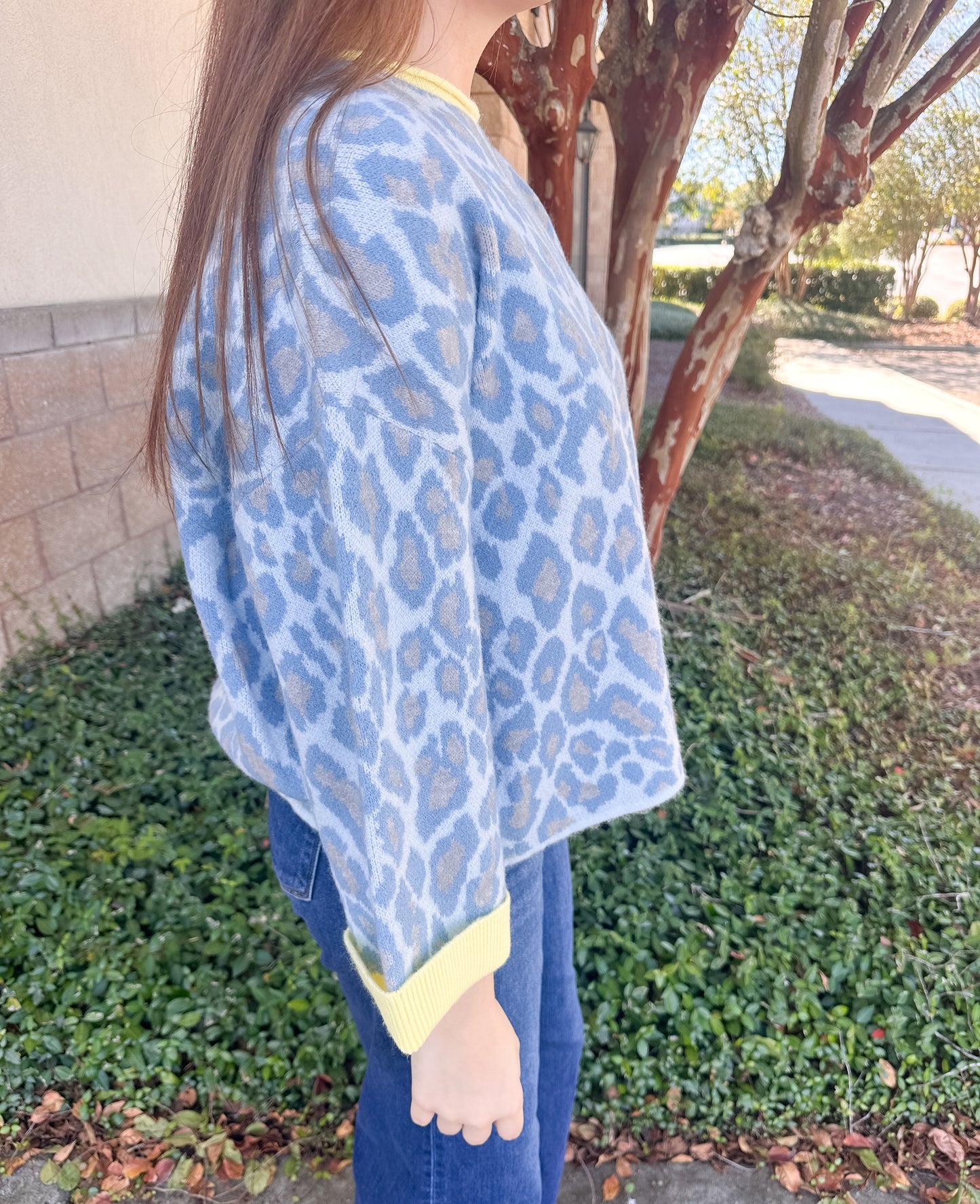 Sally Sweater
