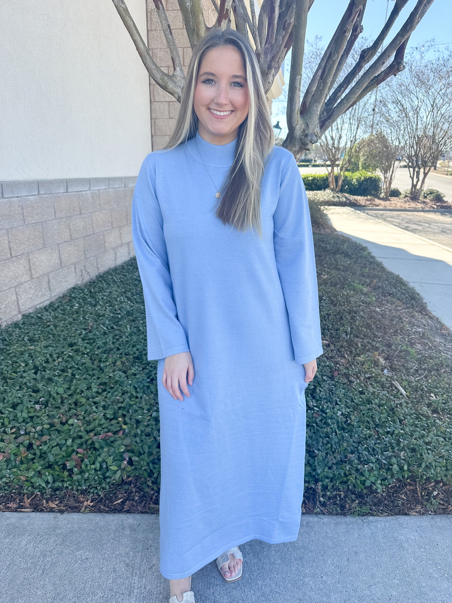 Pamela Sweater Dress - Blue