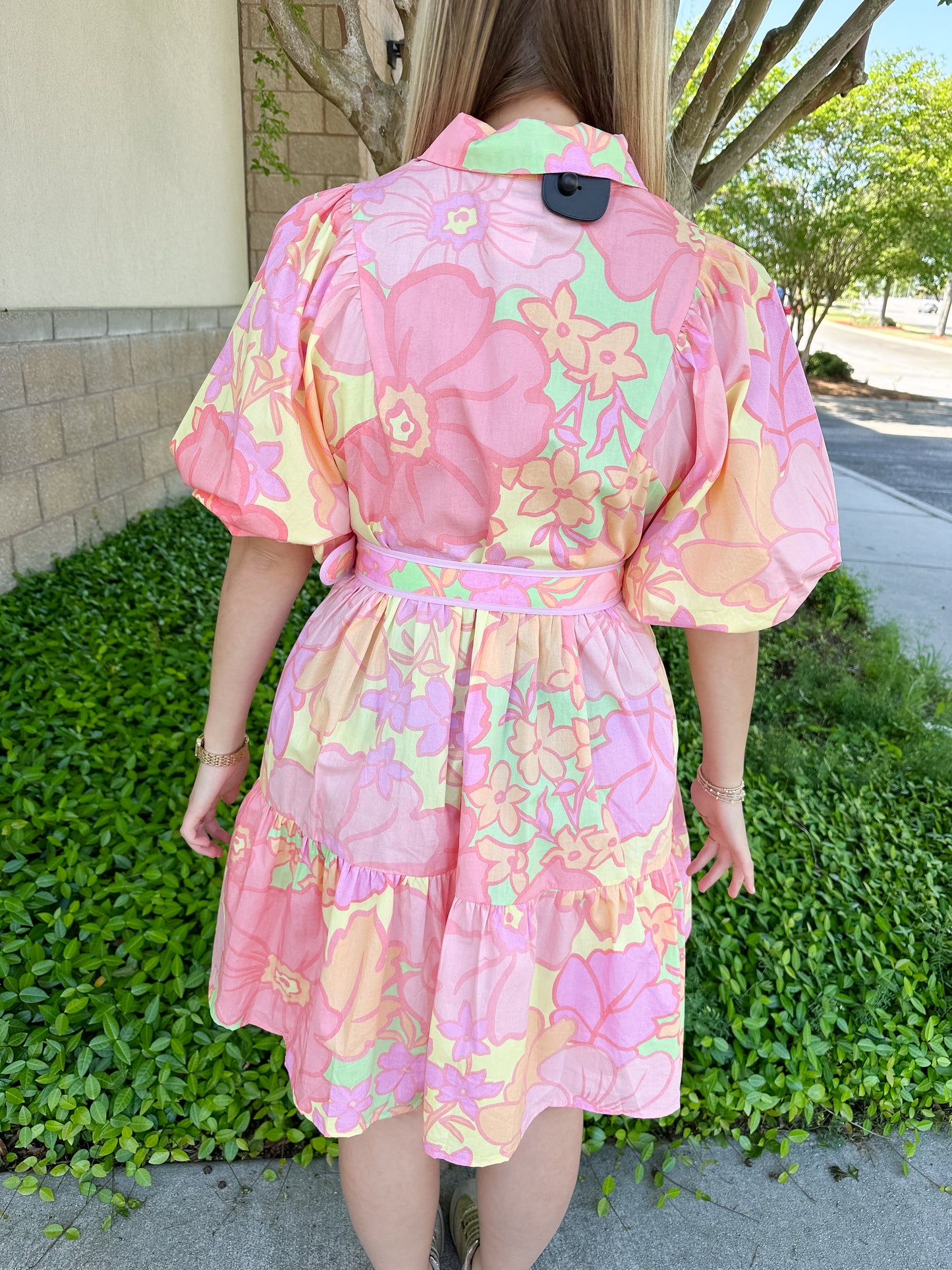Andrea Pastel Belt Dress