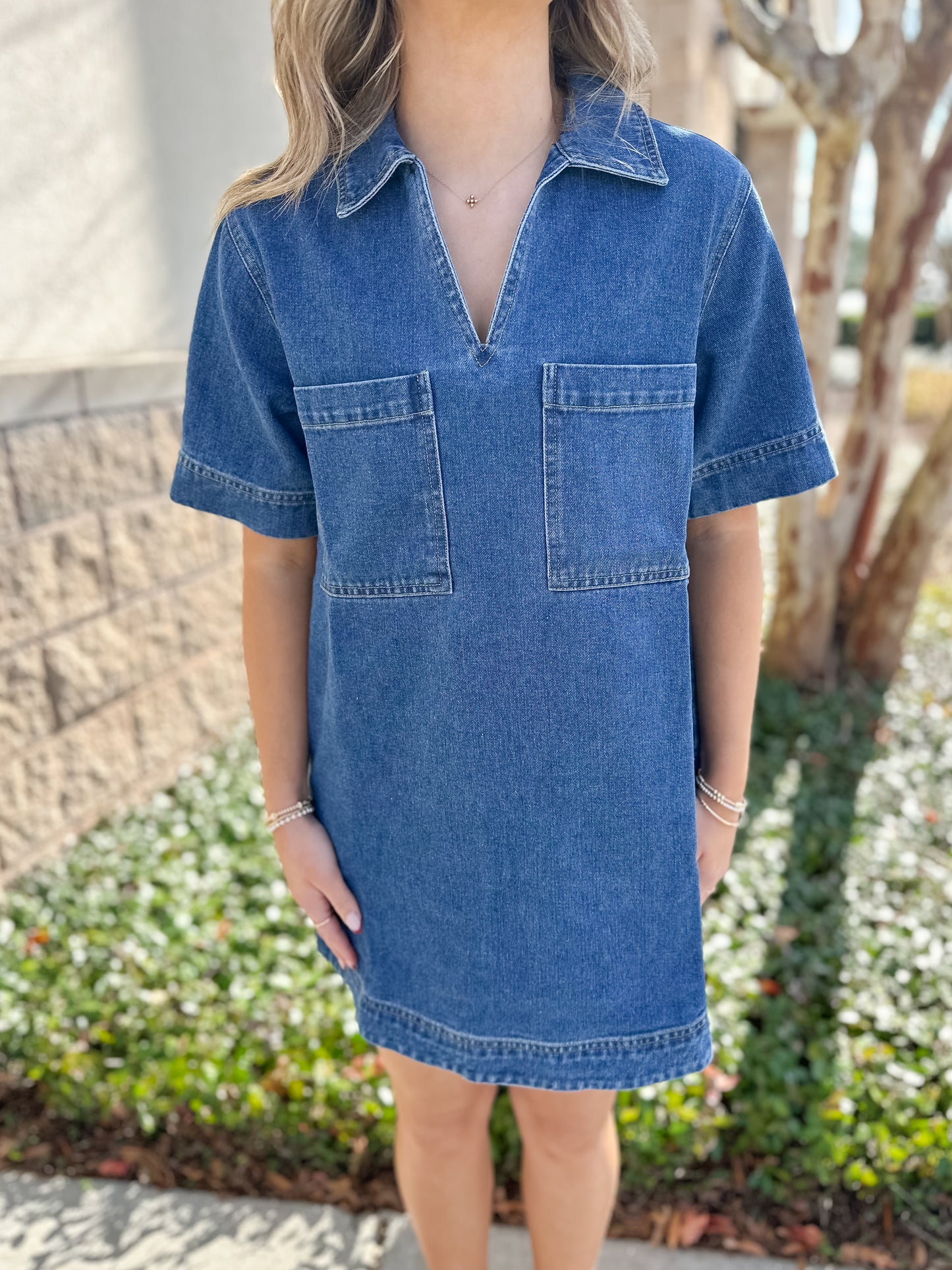 Vayda Denim Dress