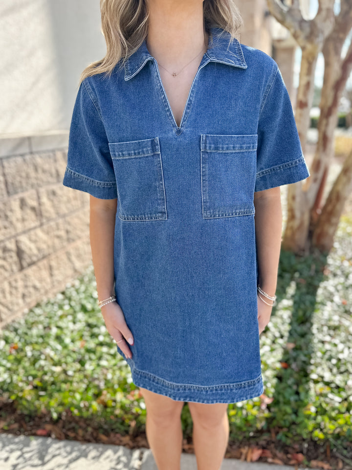 Vayda Denim Dress