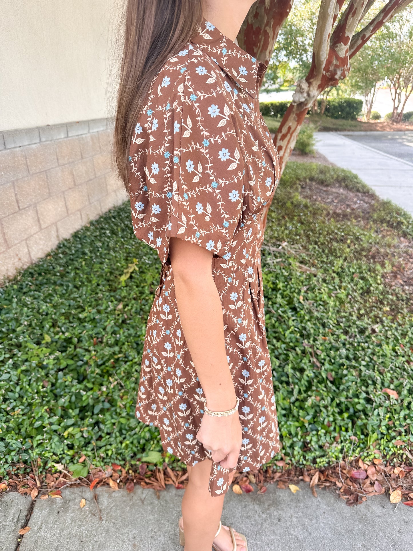 Lily Shirt Dress