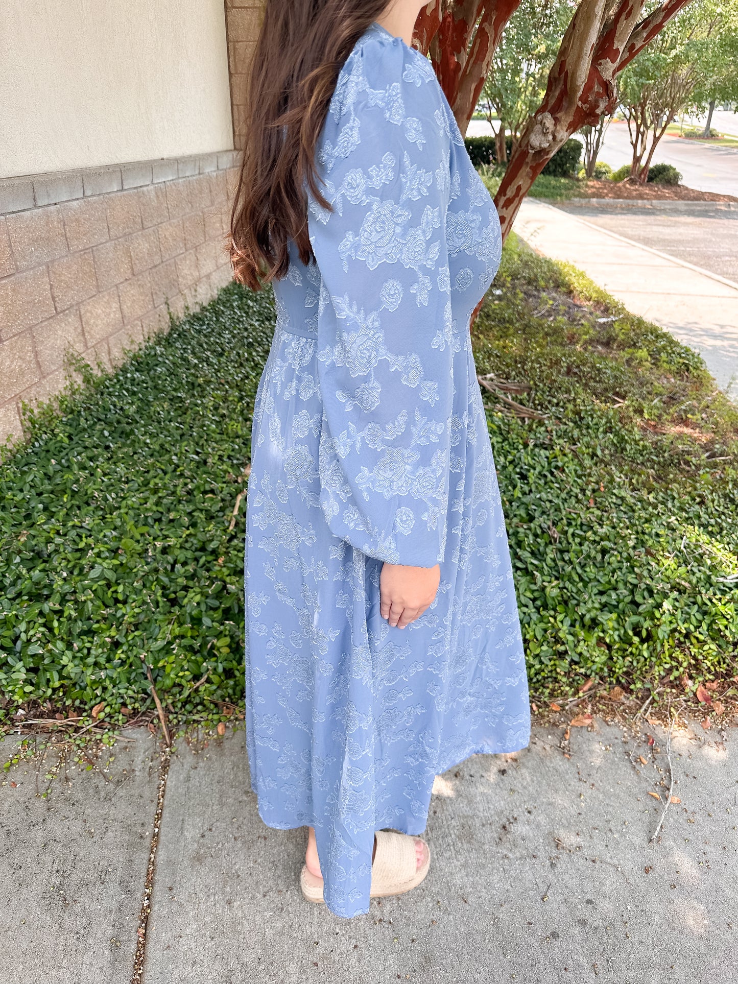 Aurora Velvet Maxi Dress