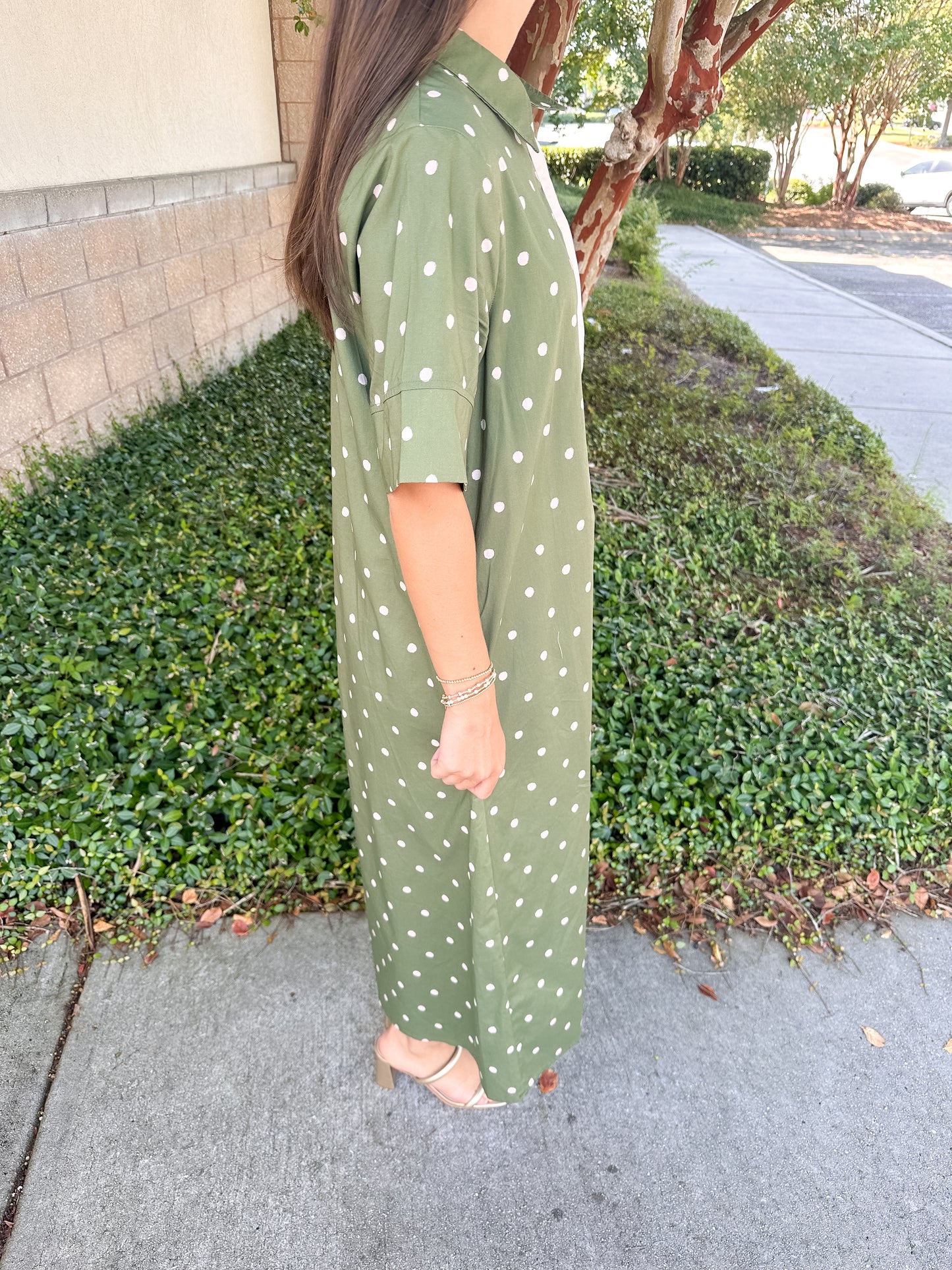 Shawn Maxi Dress