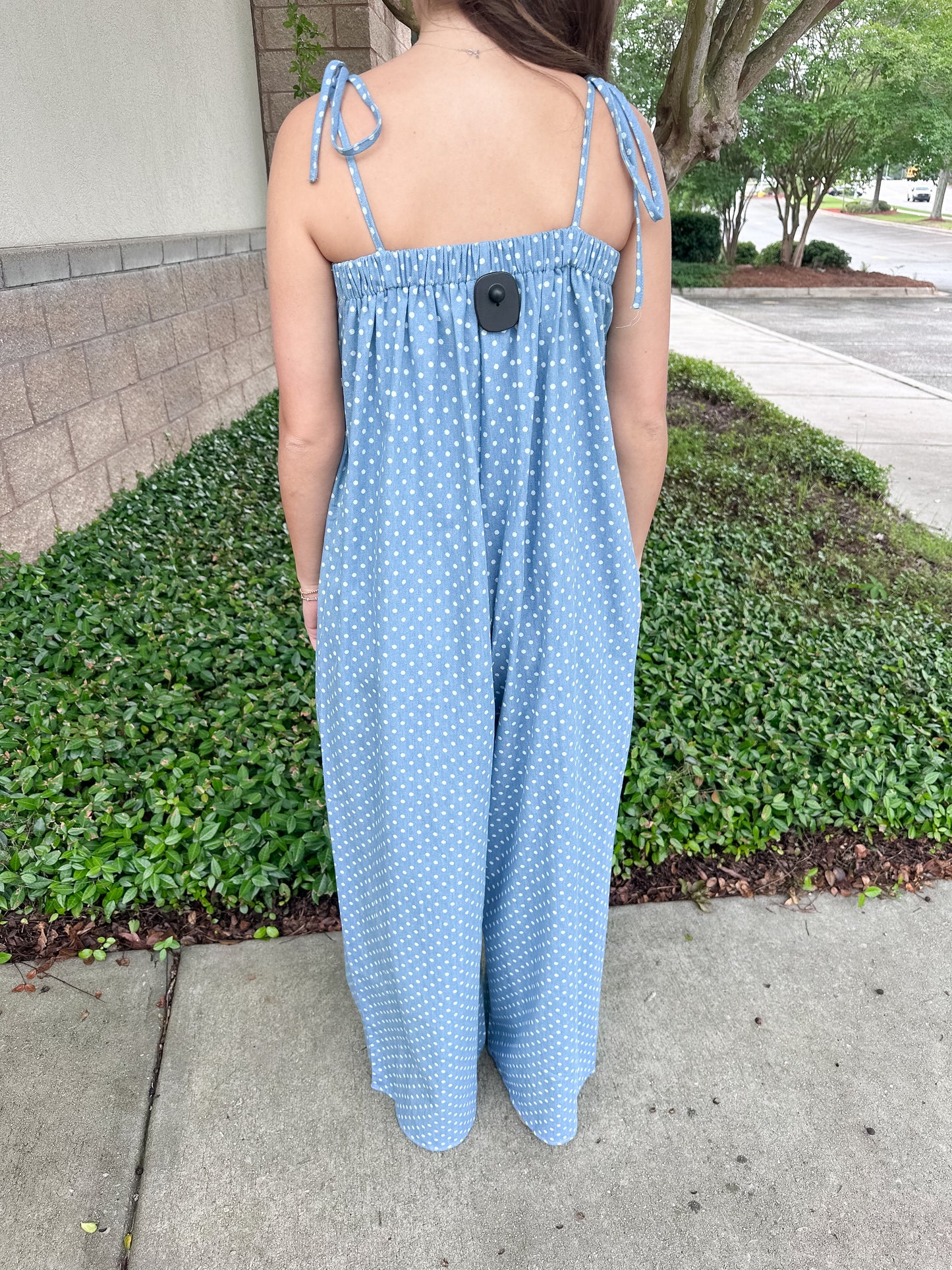 Krista Denim Jumpsuit
