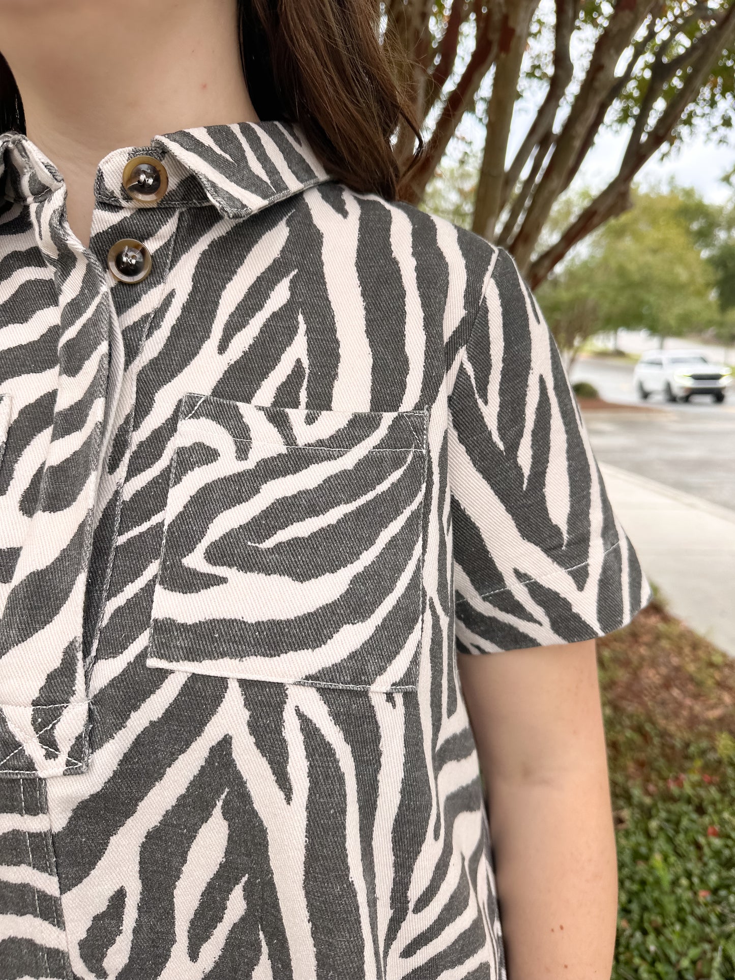 Zoe Mini Dress