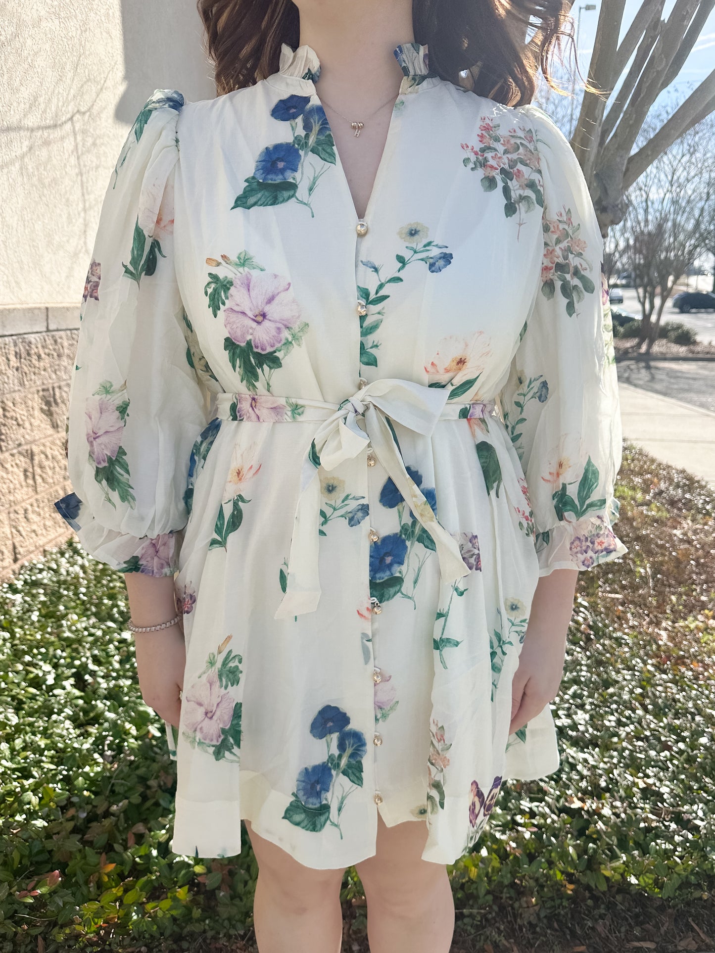 Floral Whispers Dress