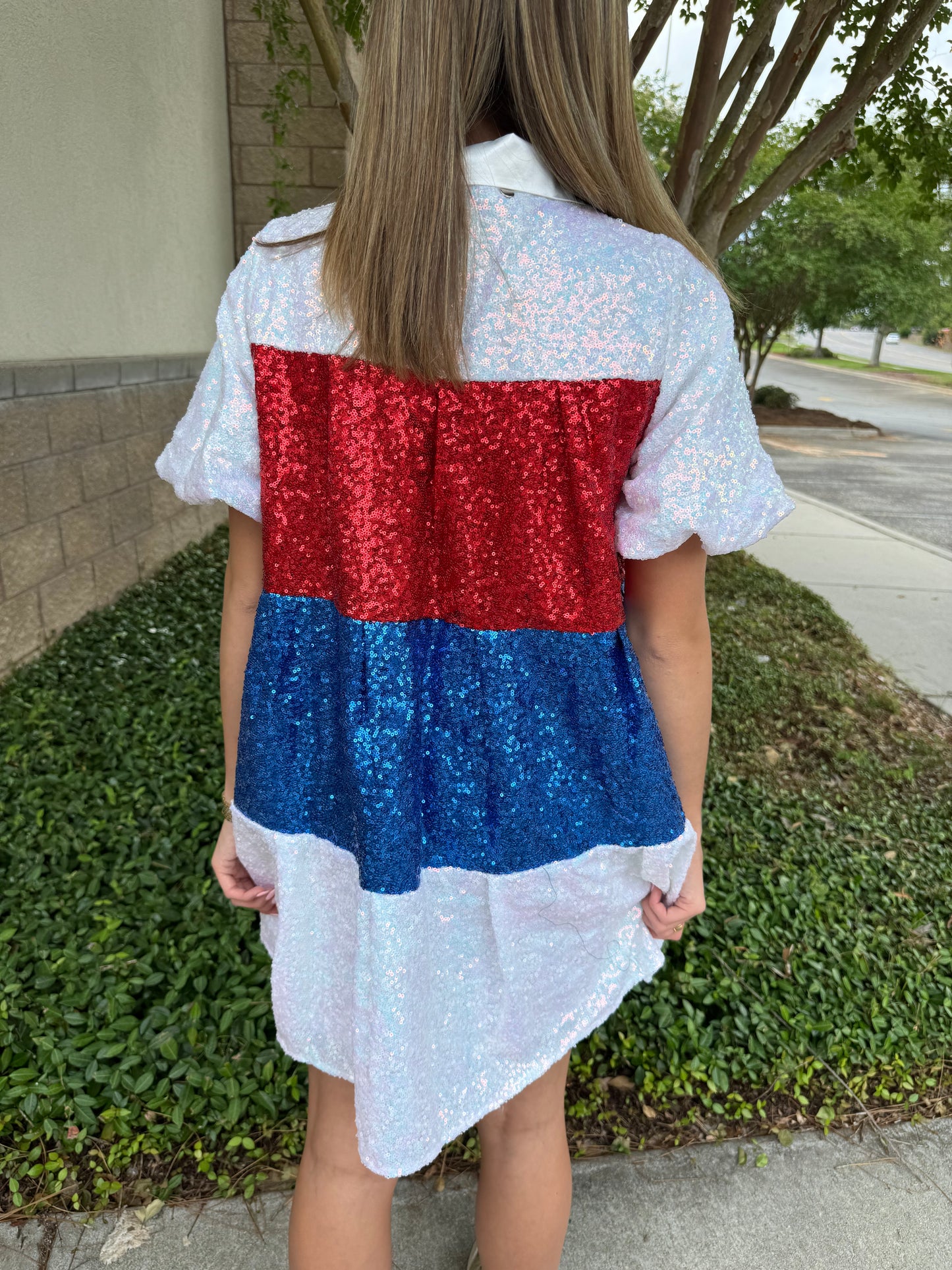Merica Sequin Dress