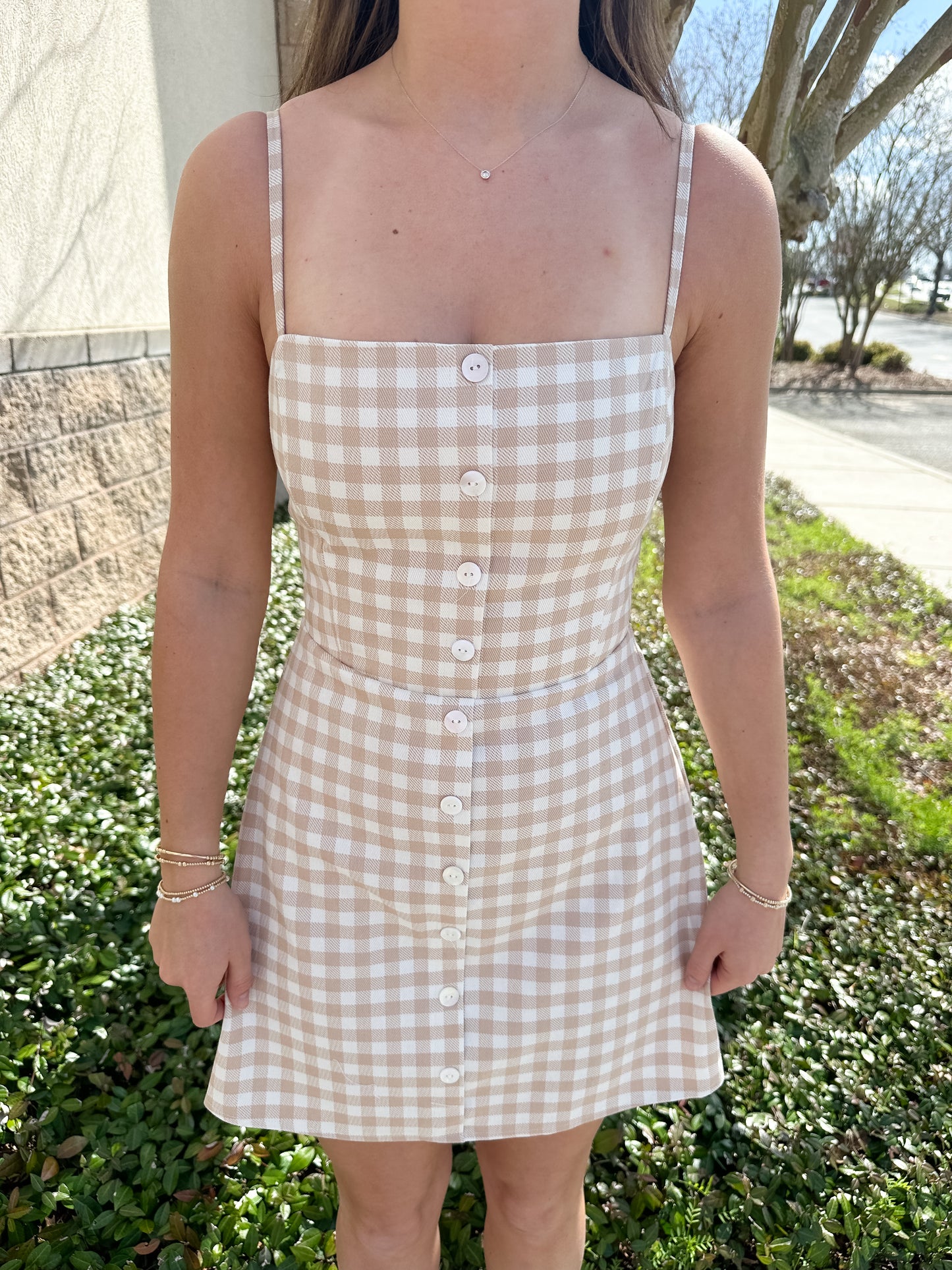 Brisa Gingham Mini
