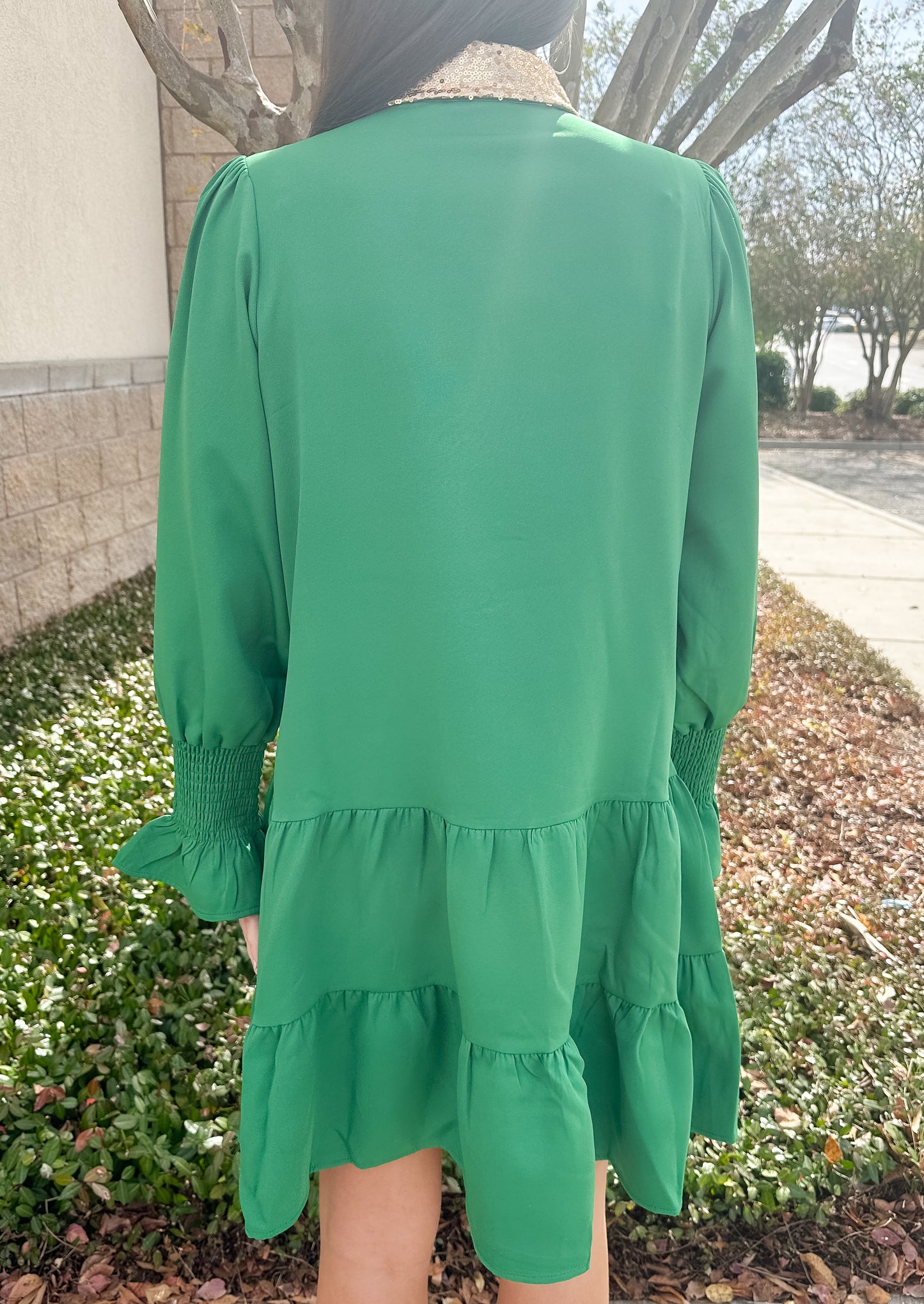 JM Santa Button Down Dress