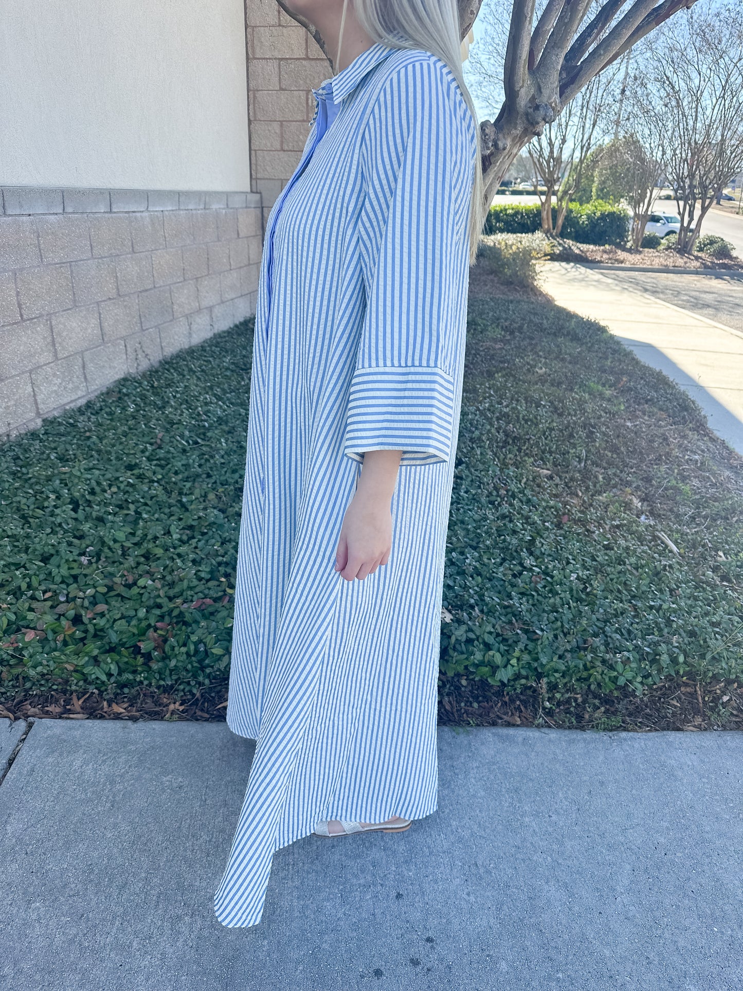 Savannah Stripes Maxi Dress - Blue