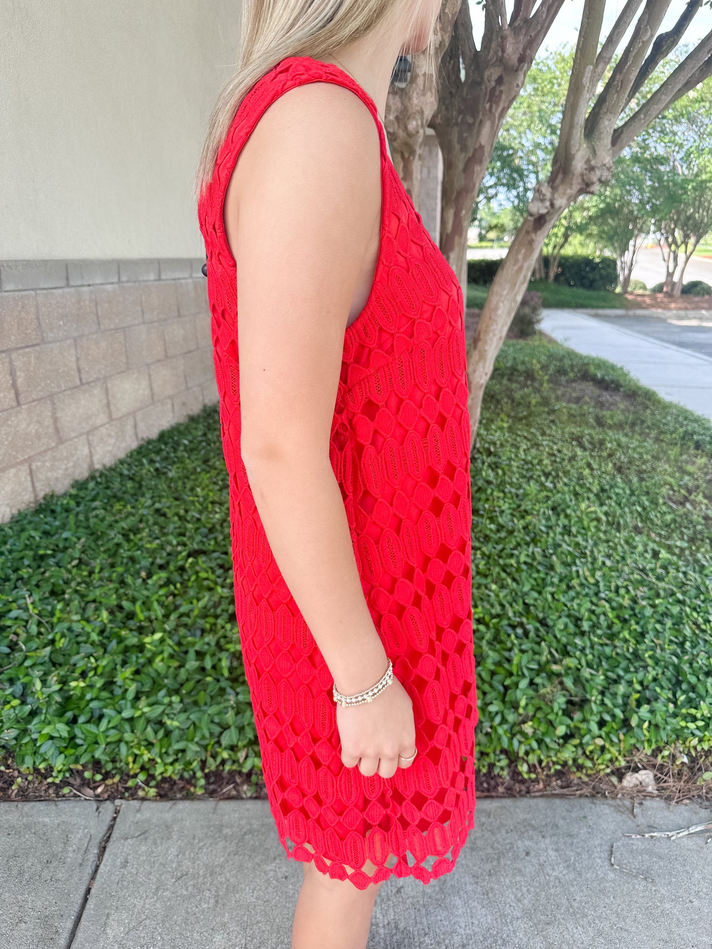 Roy Mini Dress - Red