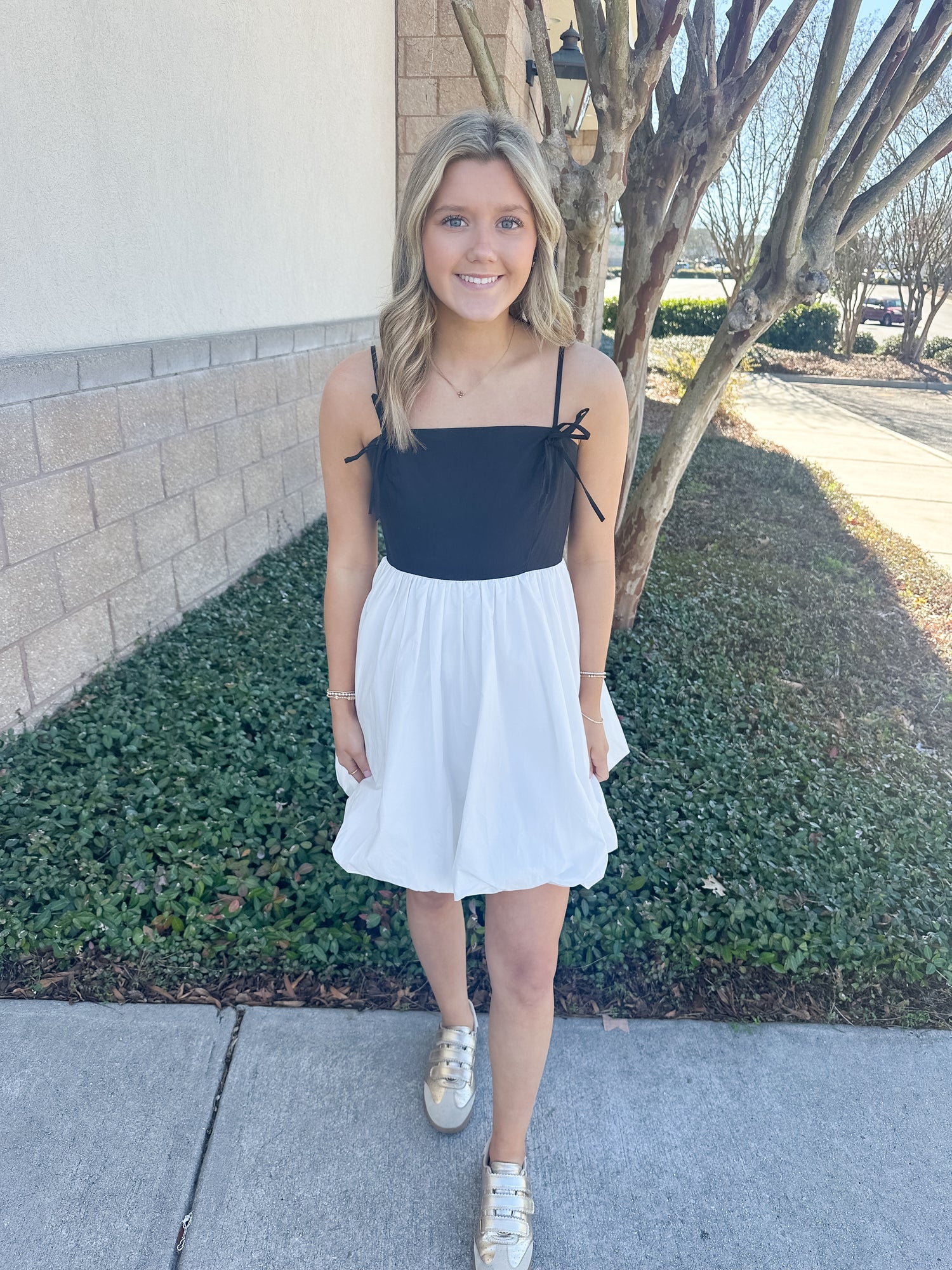 micah mini dress Micah Mini Dress