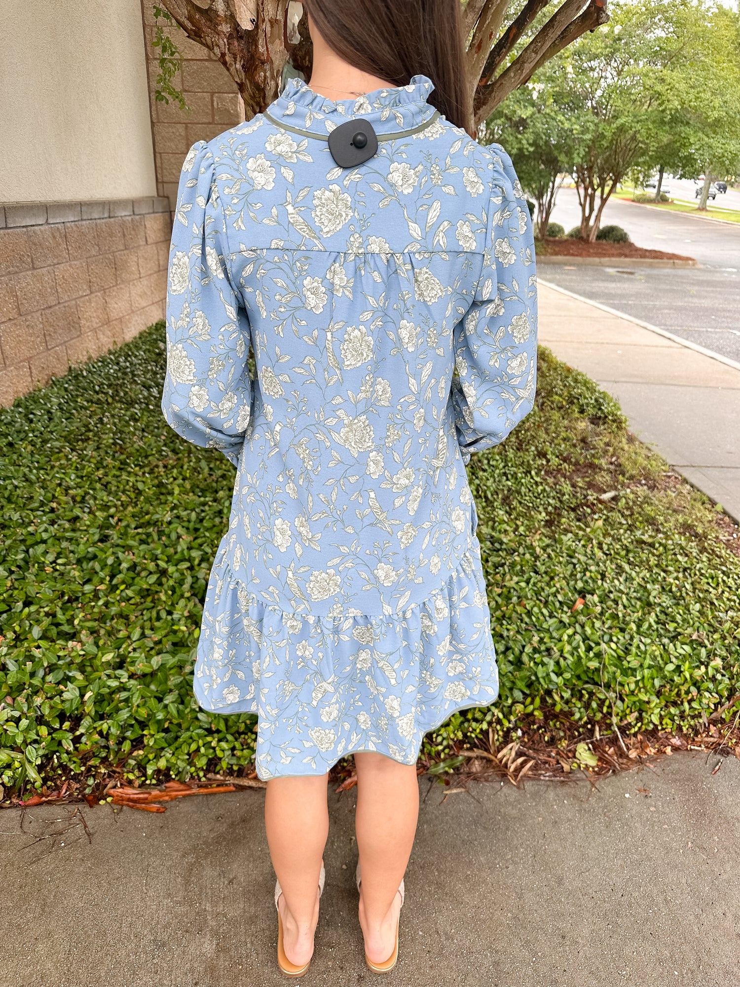 Audrey Dress | Song Bird Blue | 1X | Trendy Dresses For Women