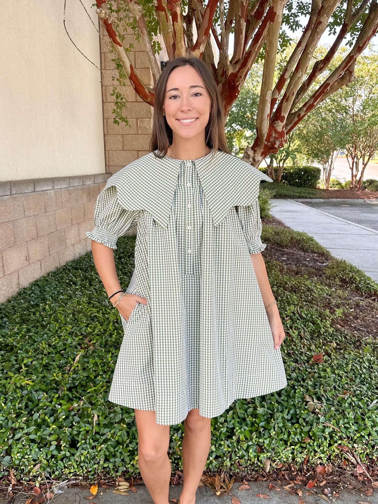 Chrissy Collar Dress