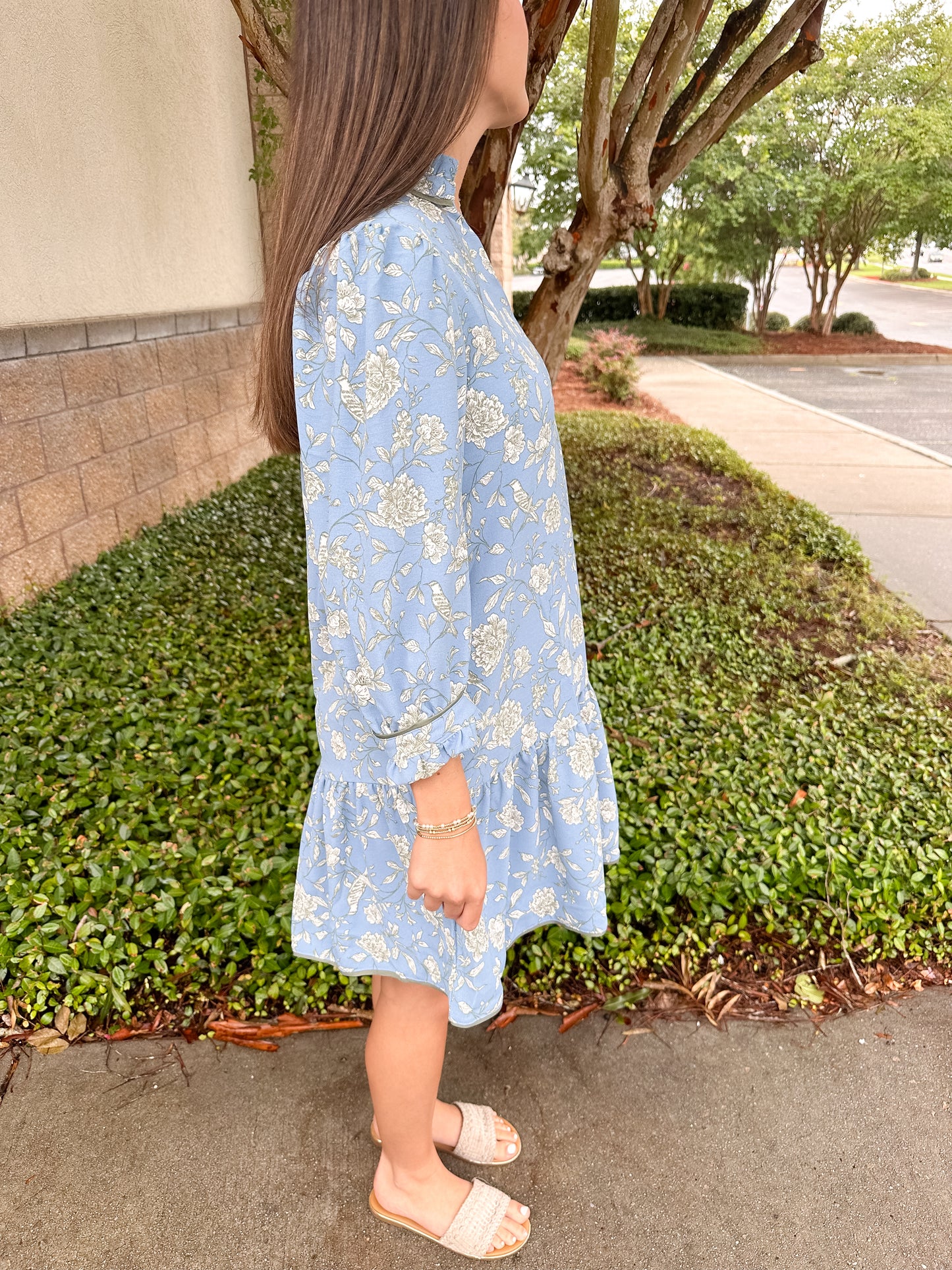 Audrey Dress - Song Bird Blue