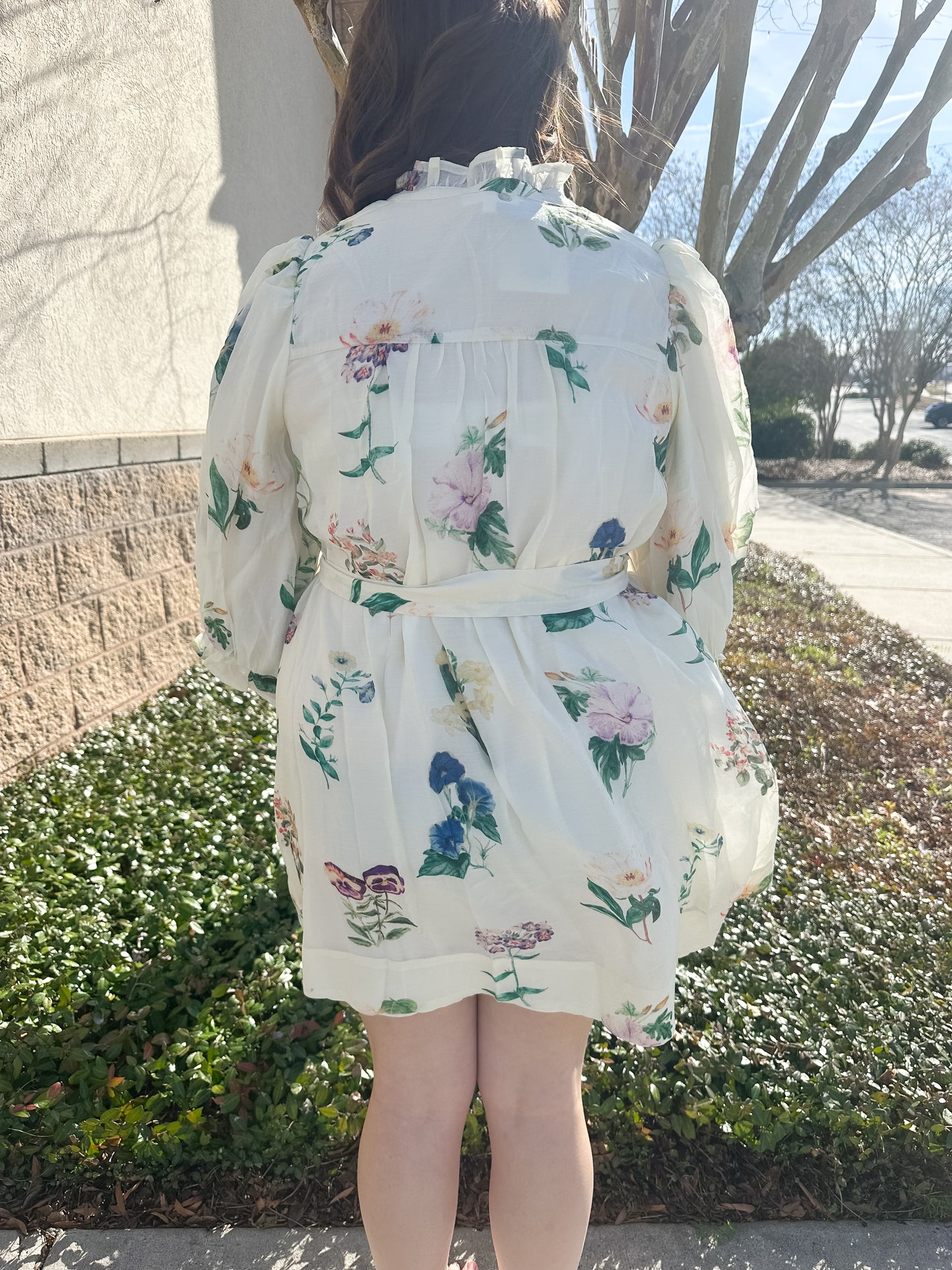 Floral Whispers Dress
