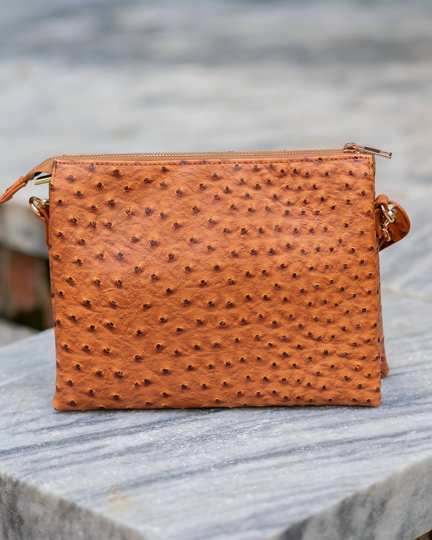 CH Ariana Crossbody Saddle EO
