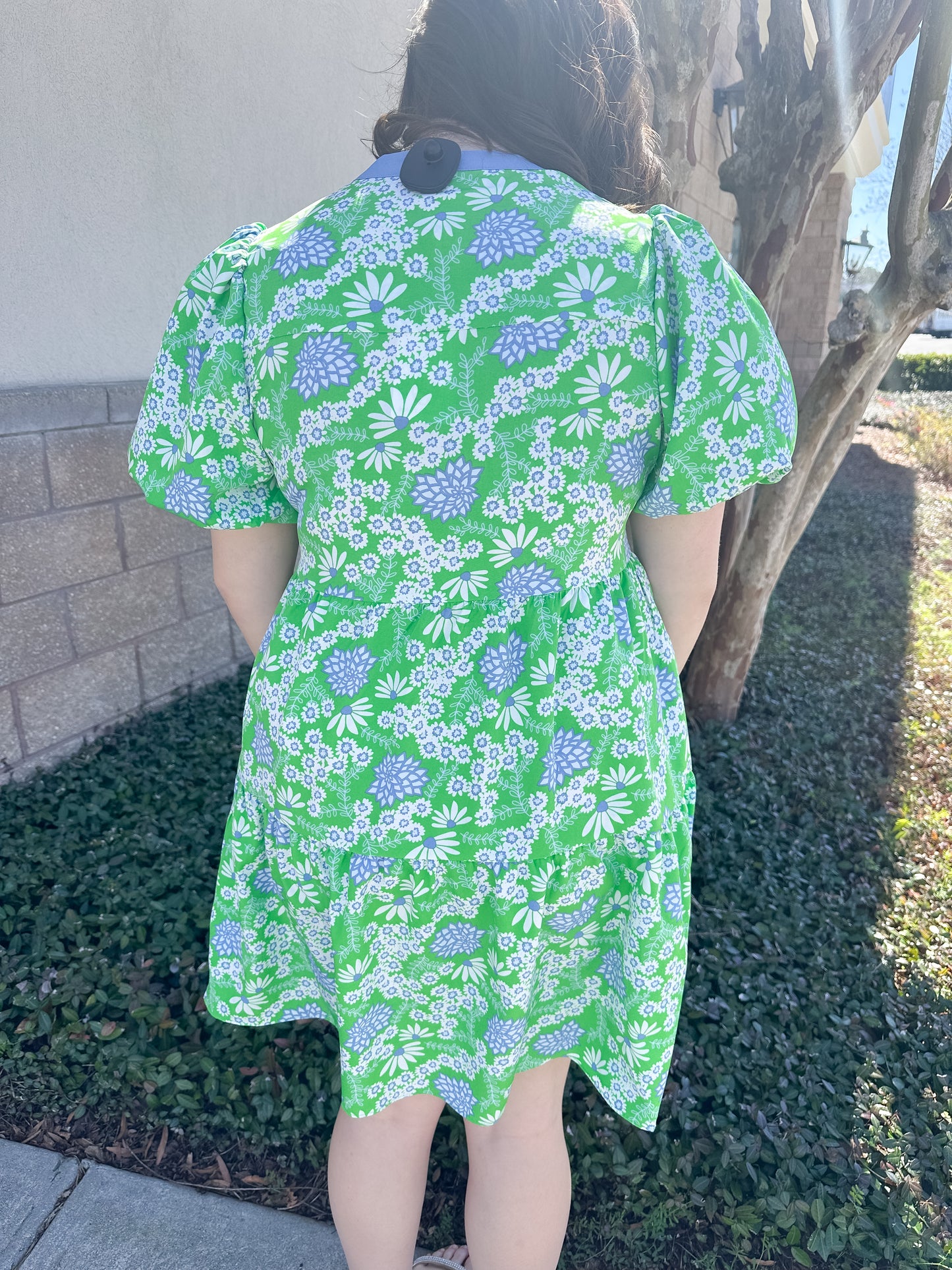 Kinsley Dress - Daisy Chain