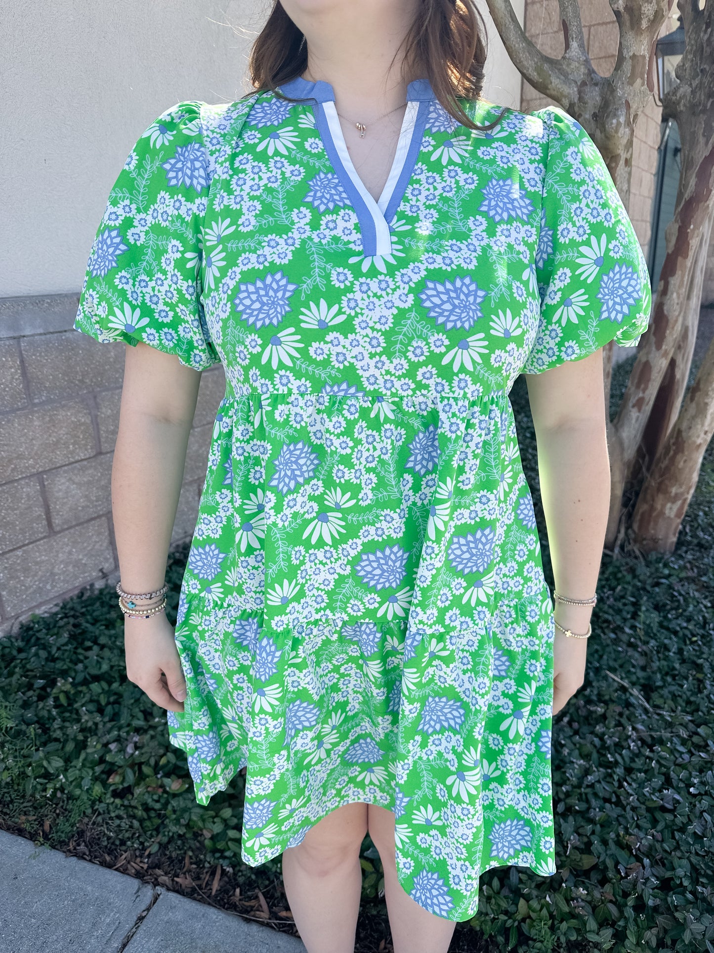 Kinsley Dress - Daisy Chain