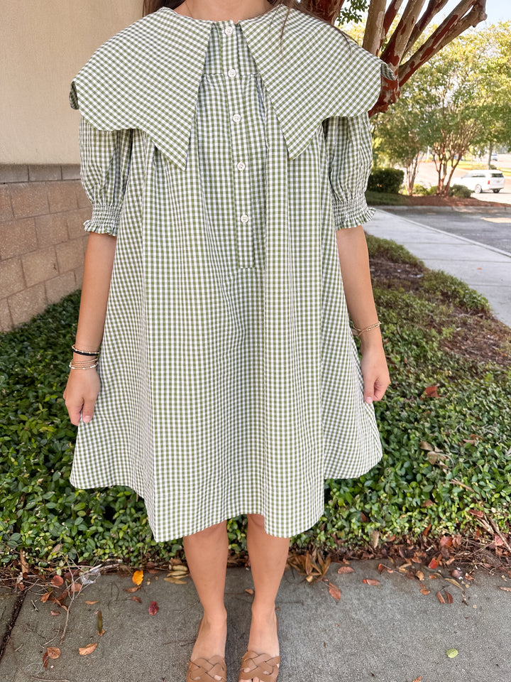 Chrissy Collar Dress