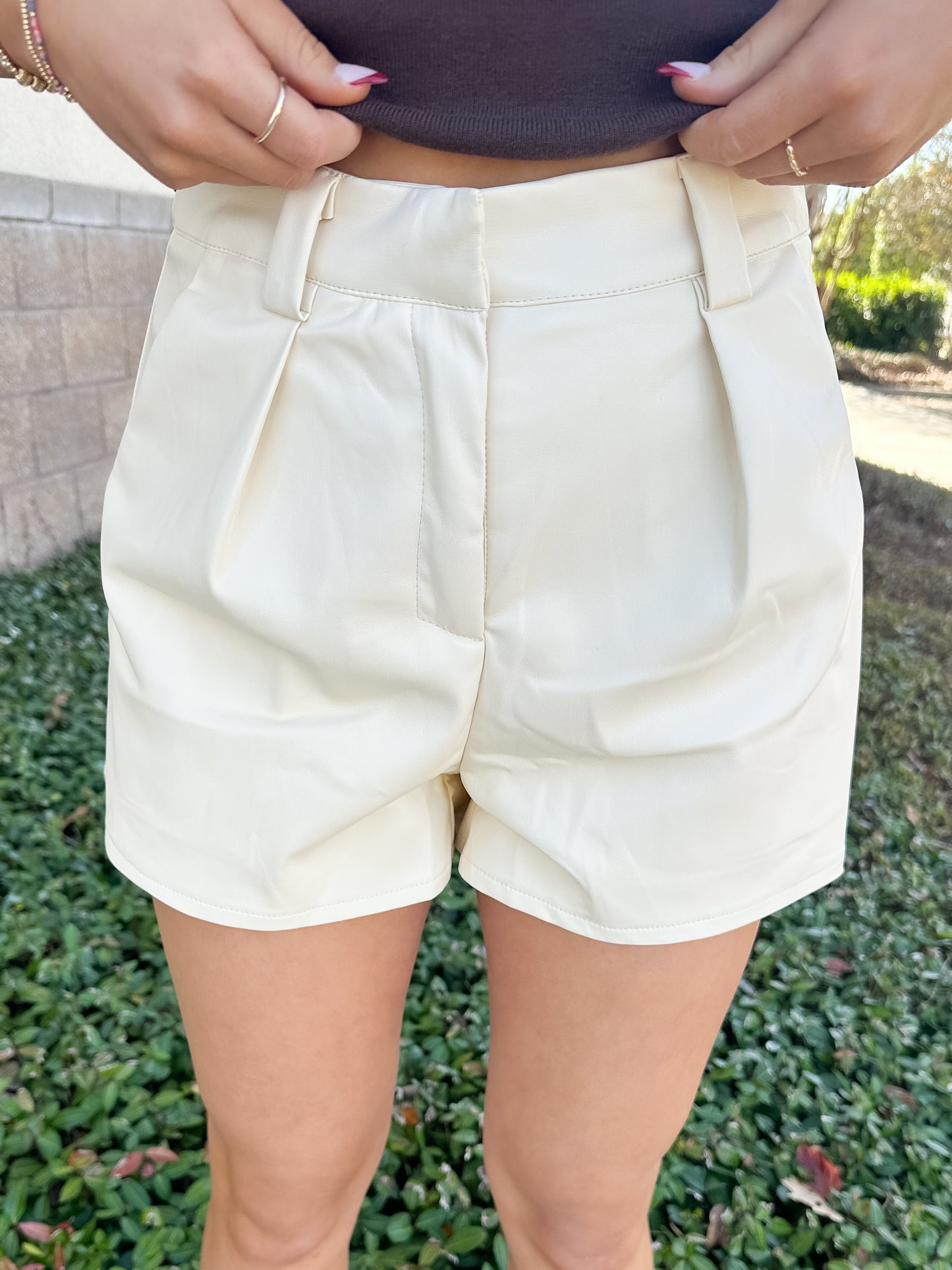 Luxe Faux Leather Shorts