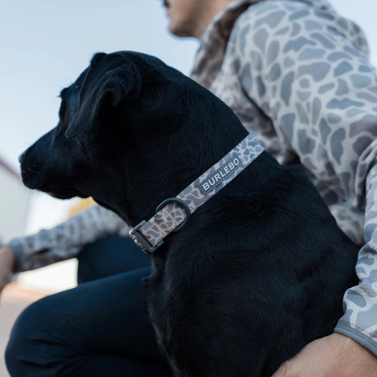 Burlebo Dog Collar - Classic Deer Camo
