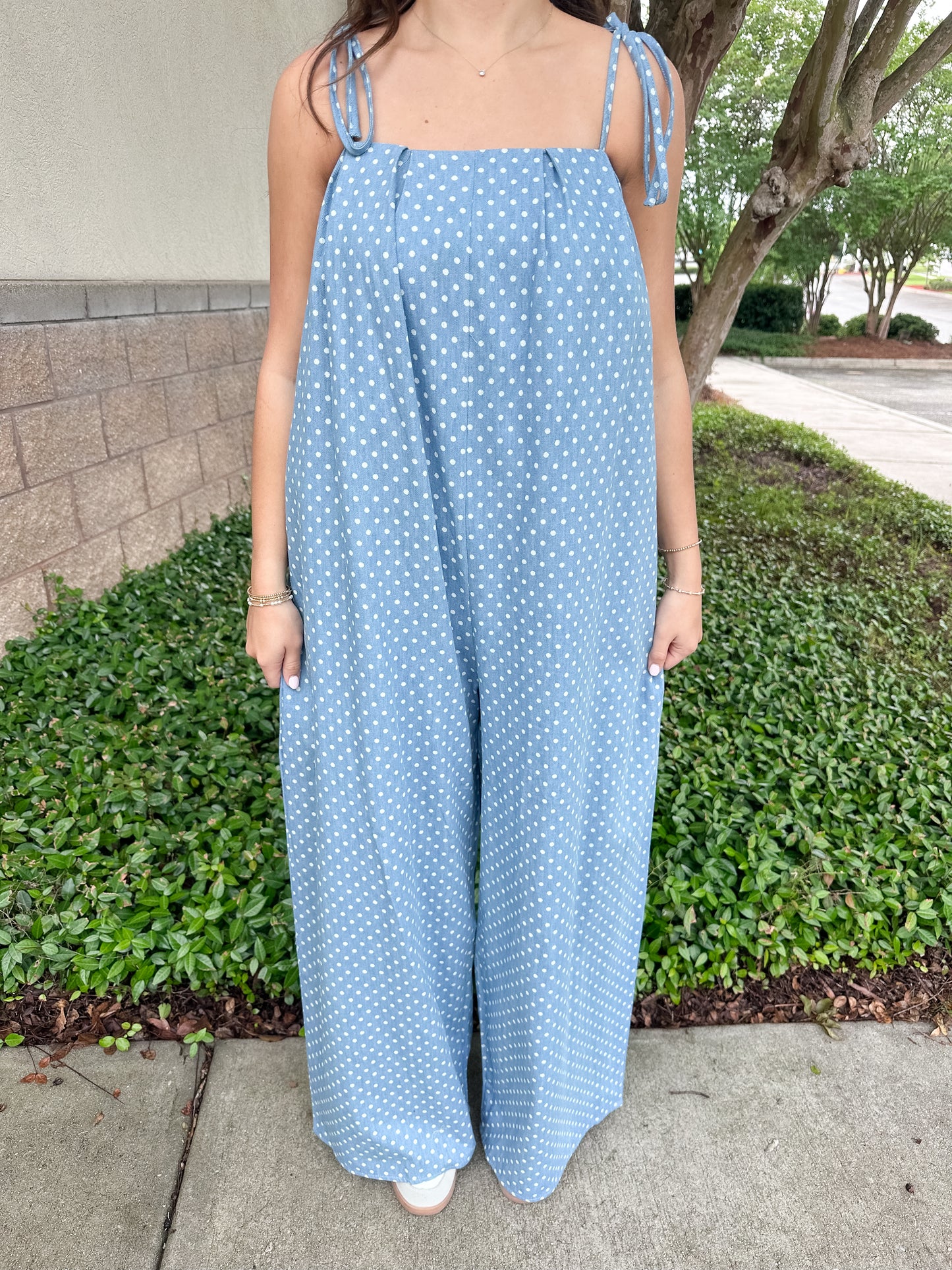 Krista Denim Jumpsuit