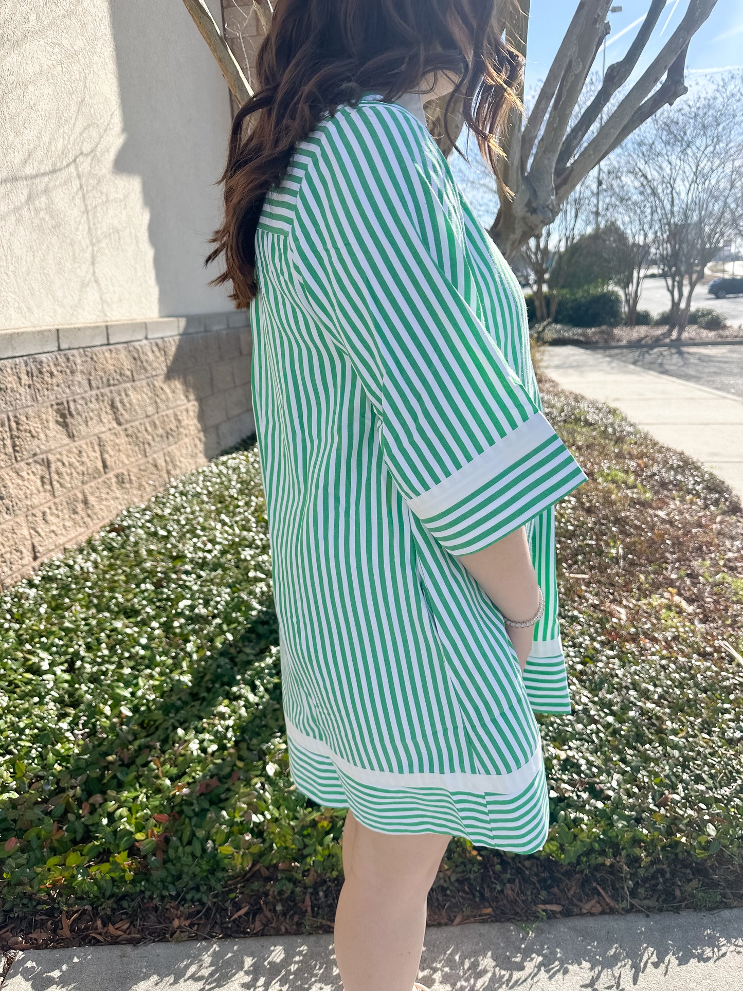 Logan Stripe Dress - Green