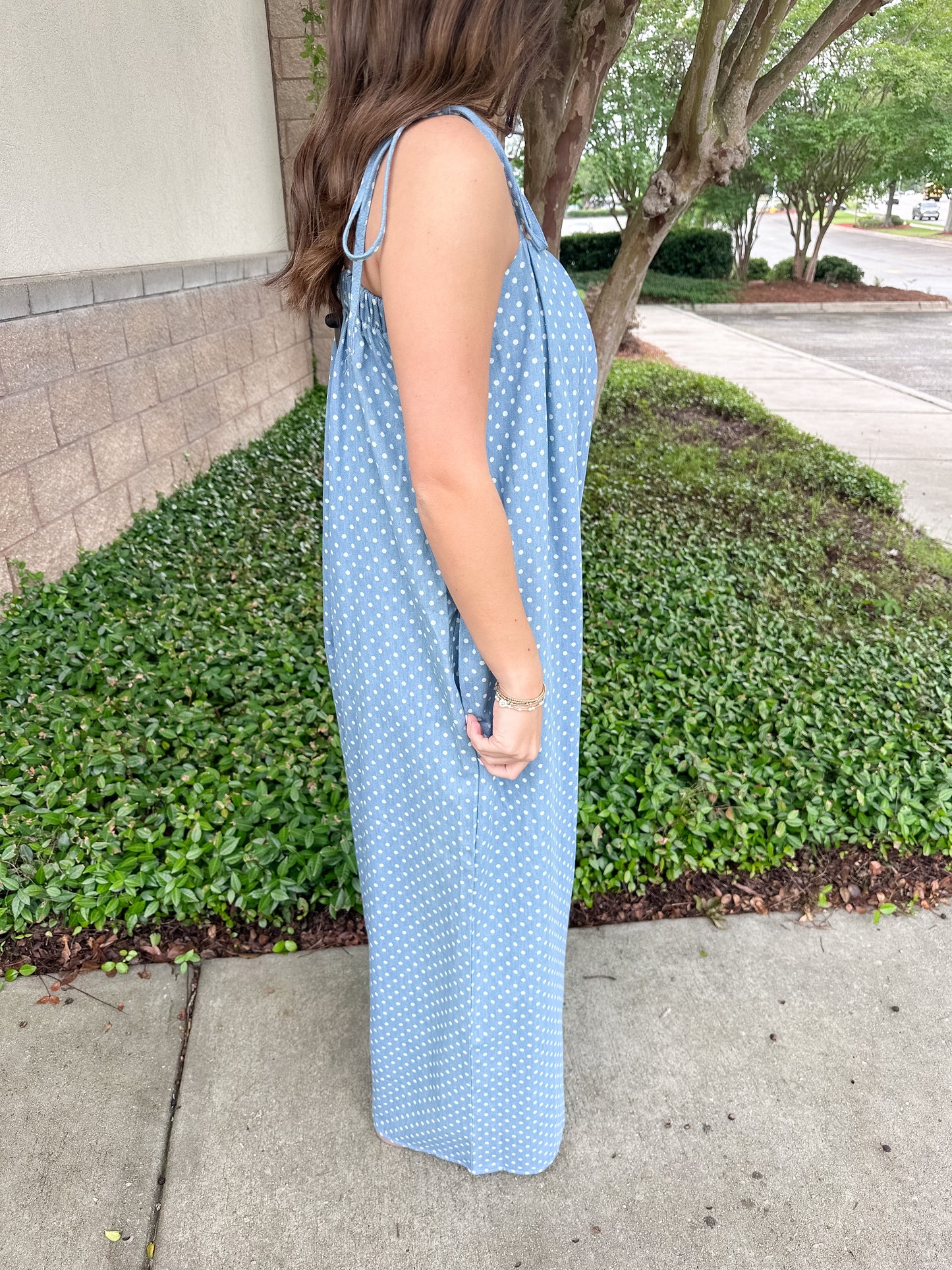 Krista Denim Jumpsuit