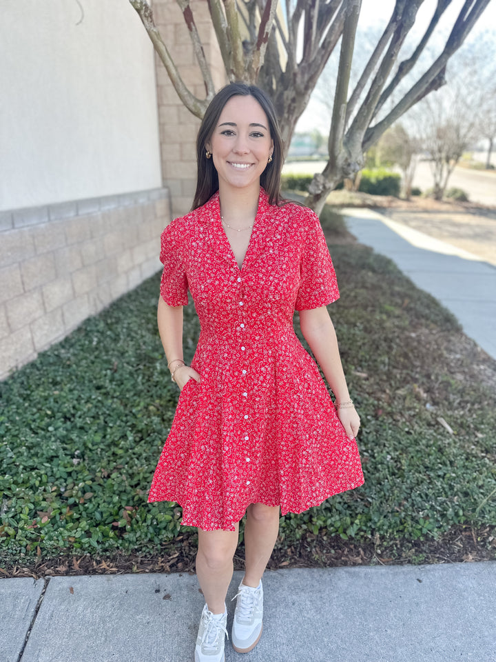 Meghan Collared Dress