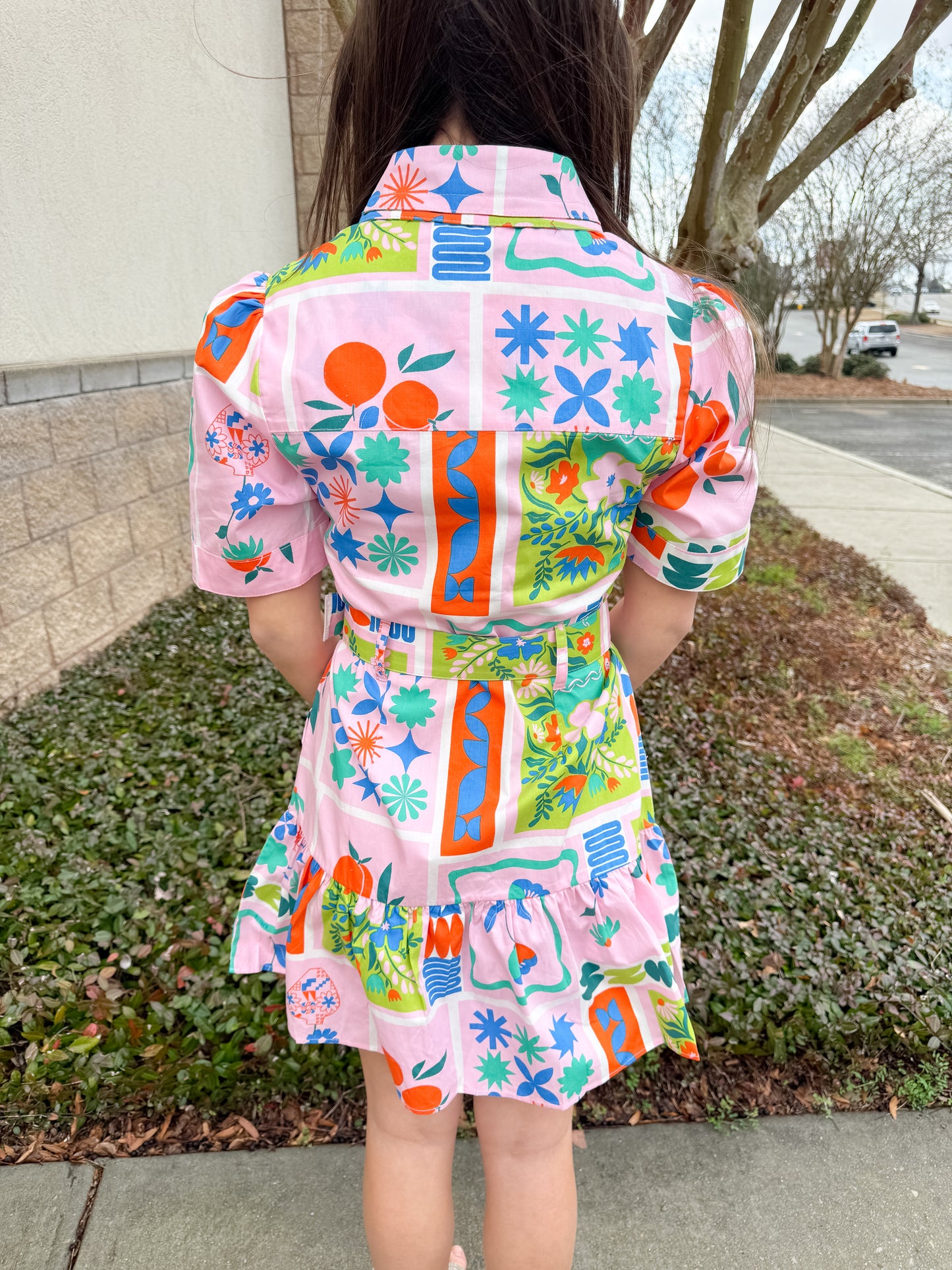 Post Card Belt Dress