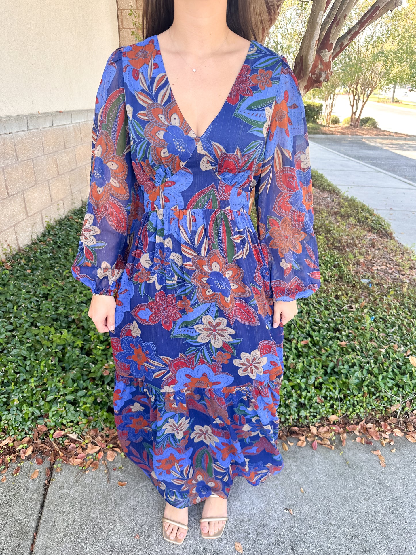 Gianara Maxi Dress