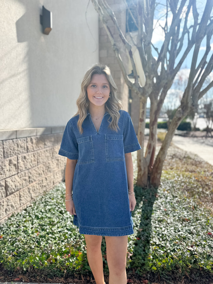 Vayda Denim Dress