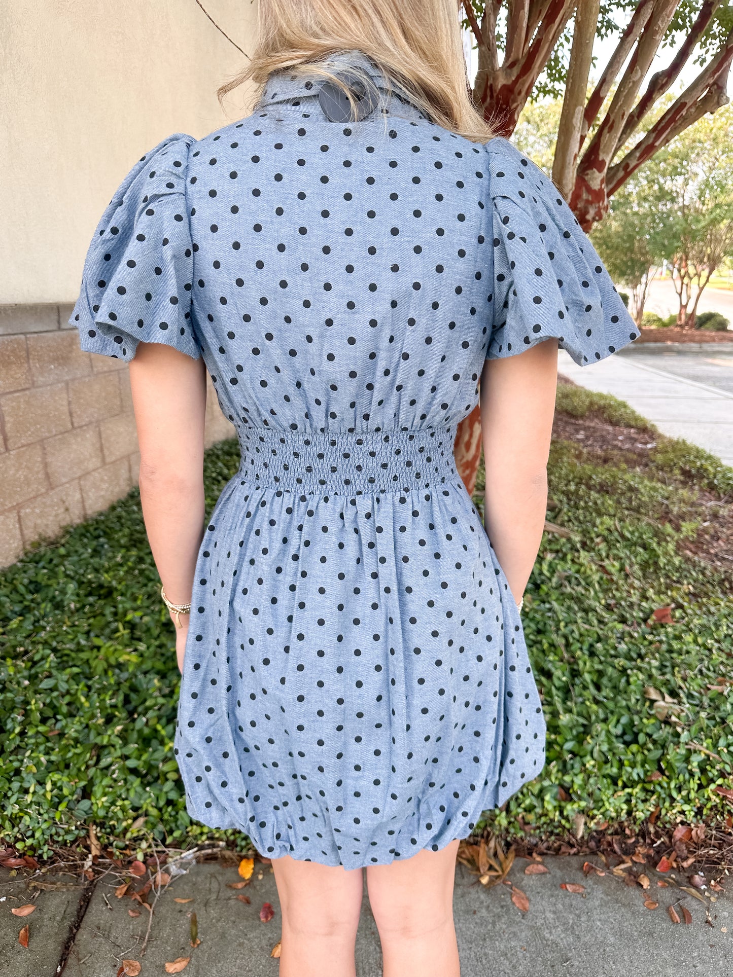 Presley Mini Dress
