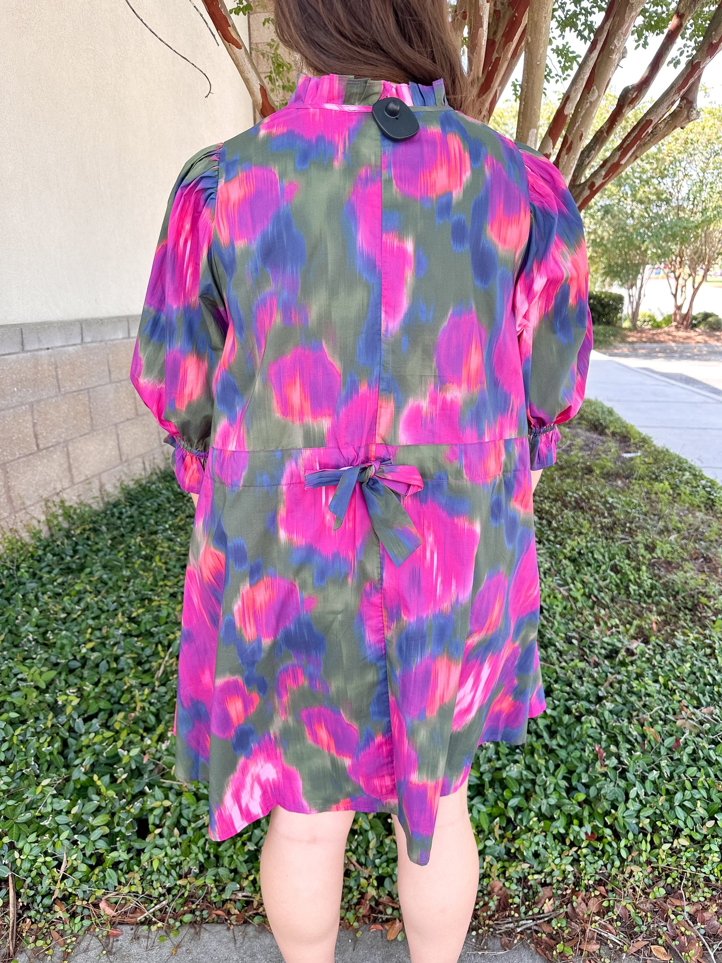 Reed Mini Dress