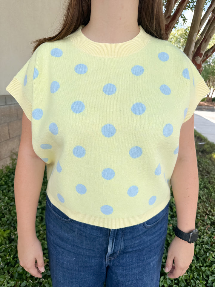 Lisa Sweater Top