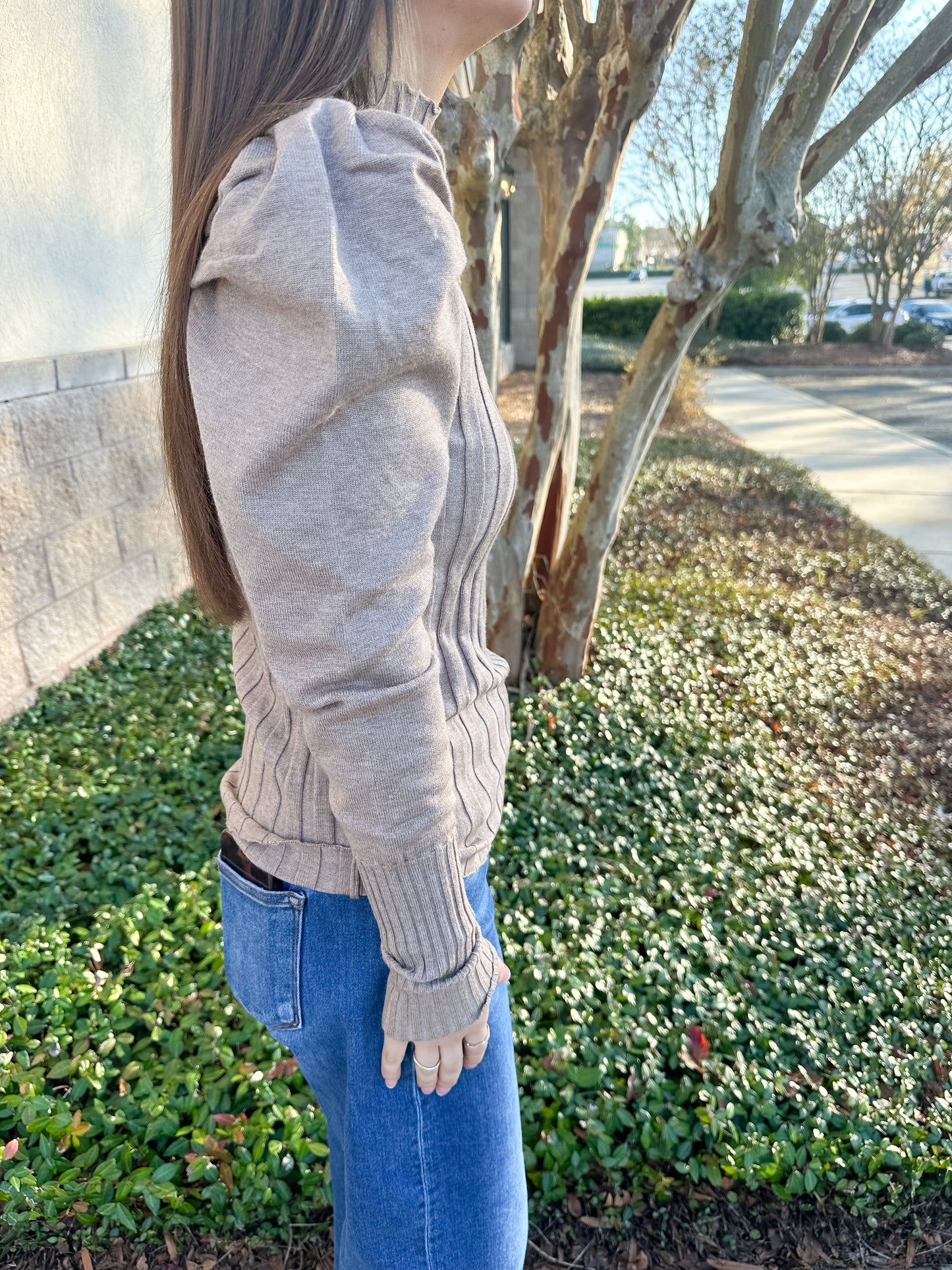 Jessica Puff Sleeve Top